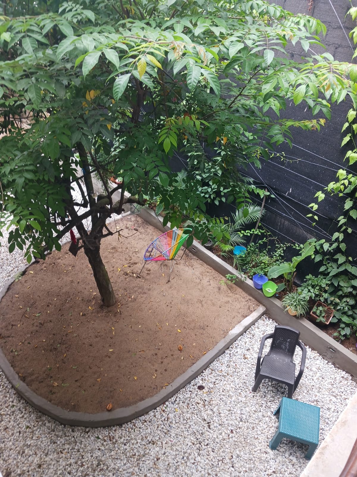 view downward of yard.jpg