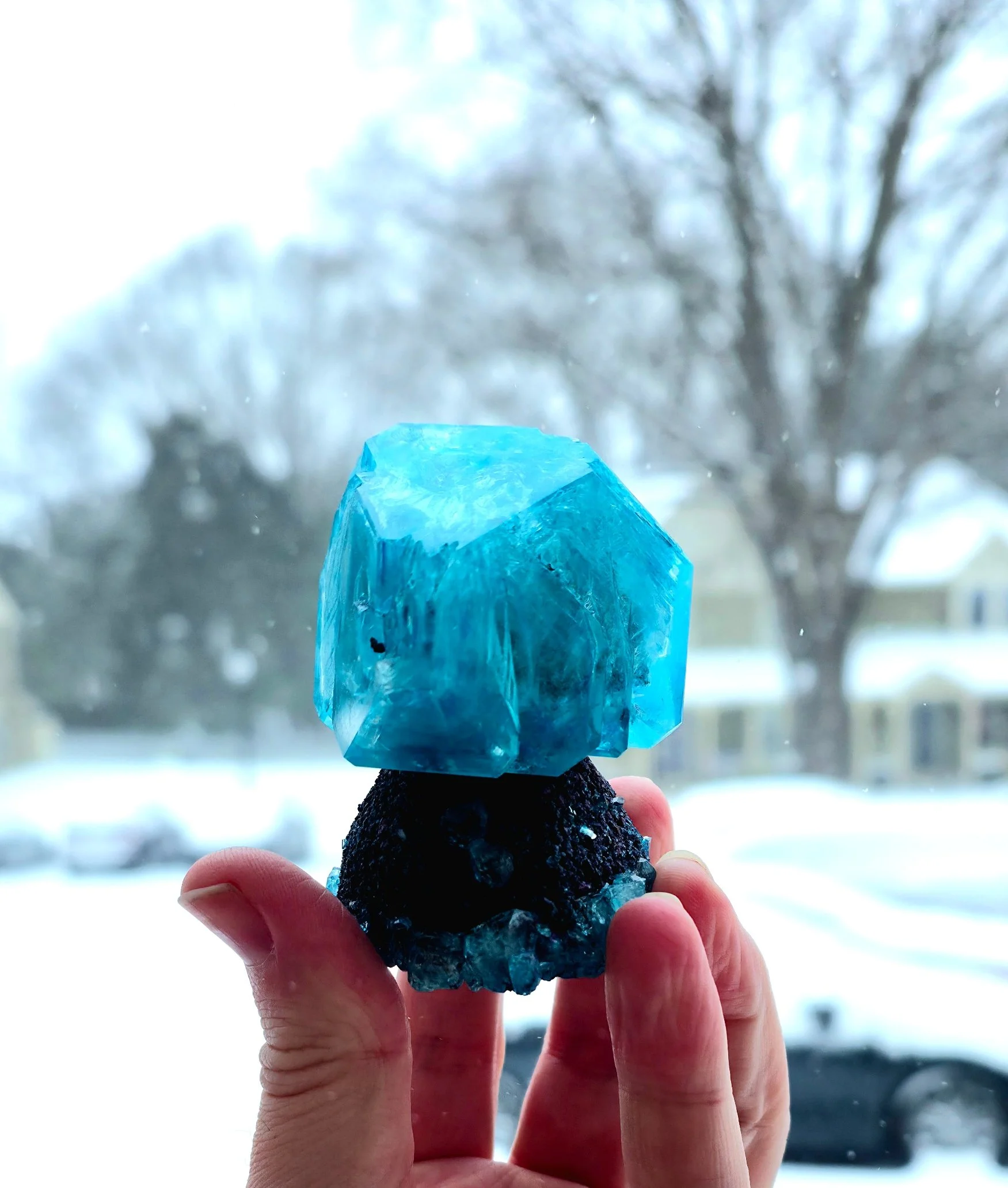 20260131_125910 2.jpg