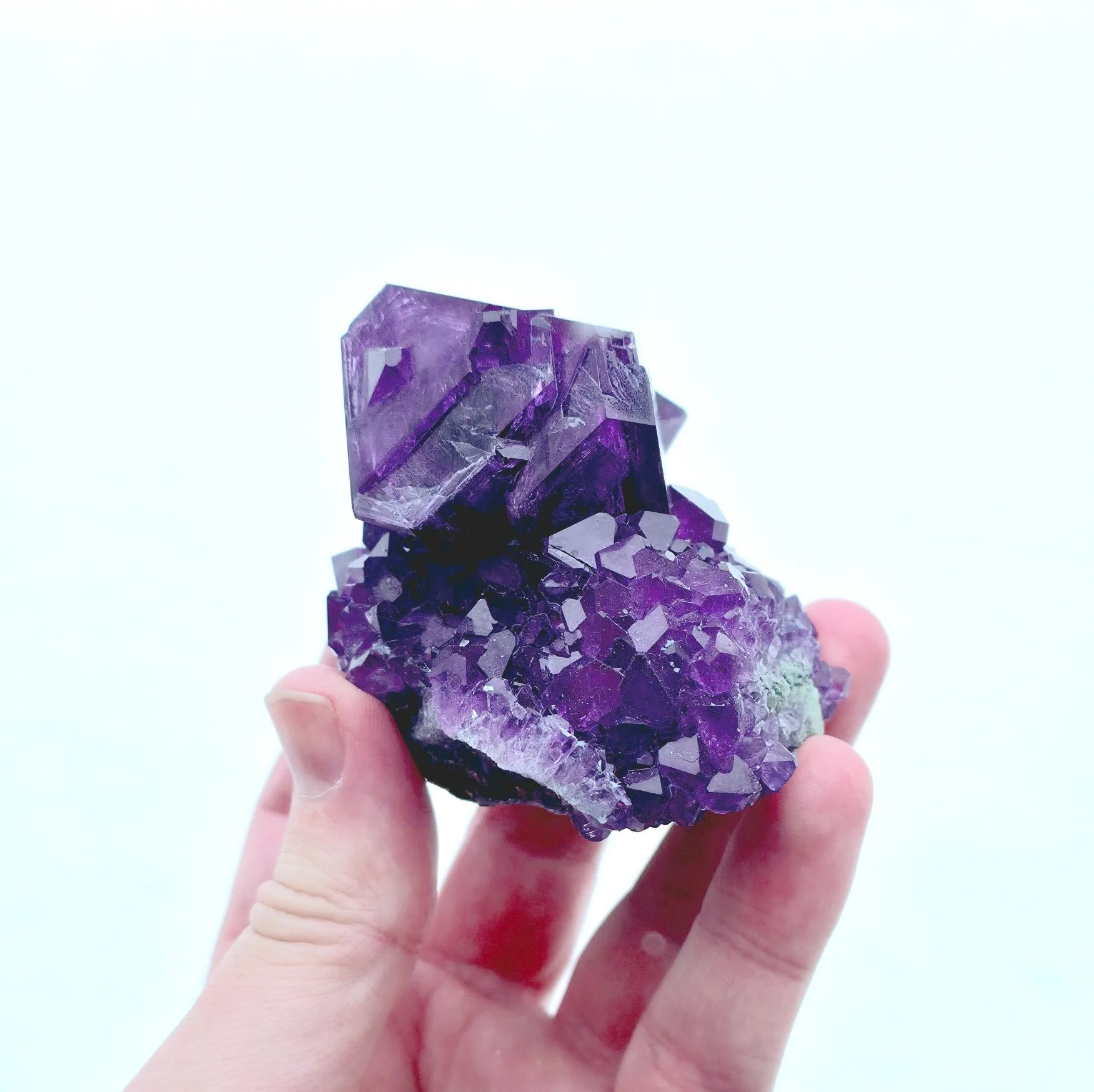 20260131_125456 2.jpg