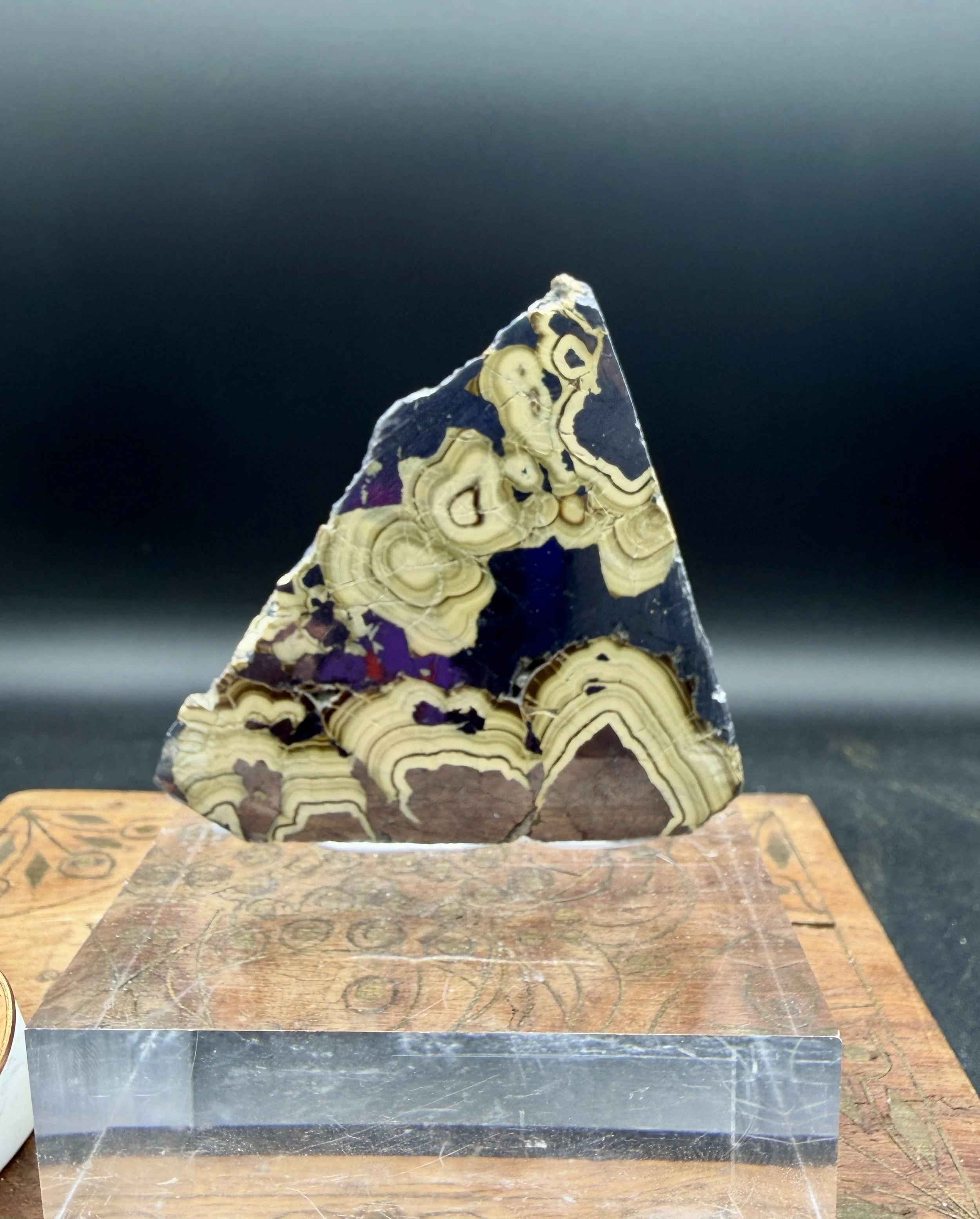 Polished Schalenblende Slab