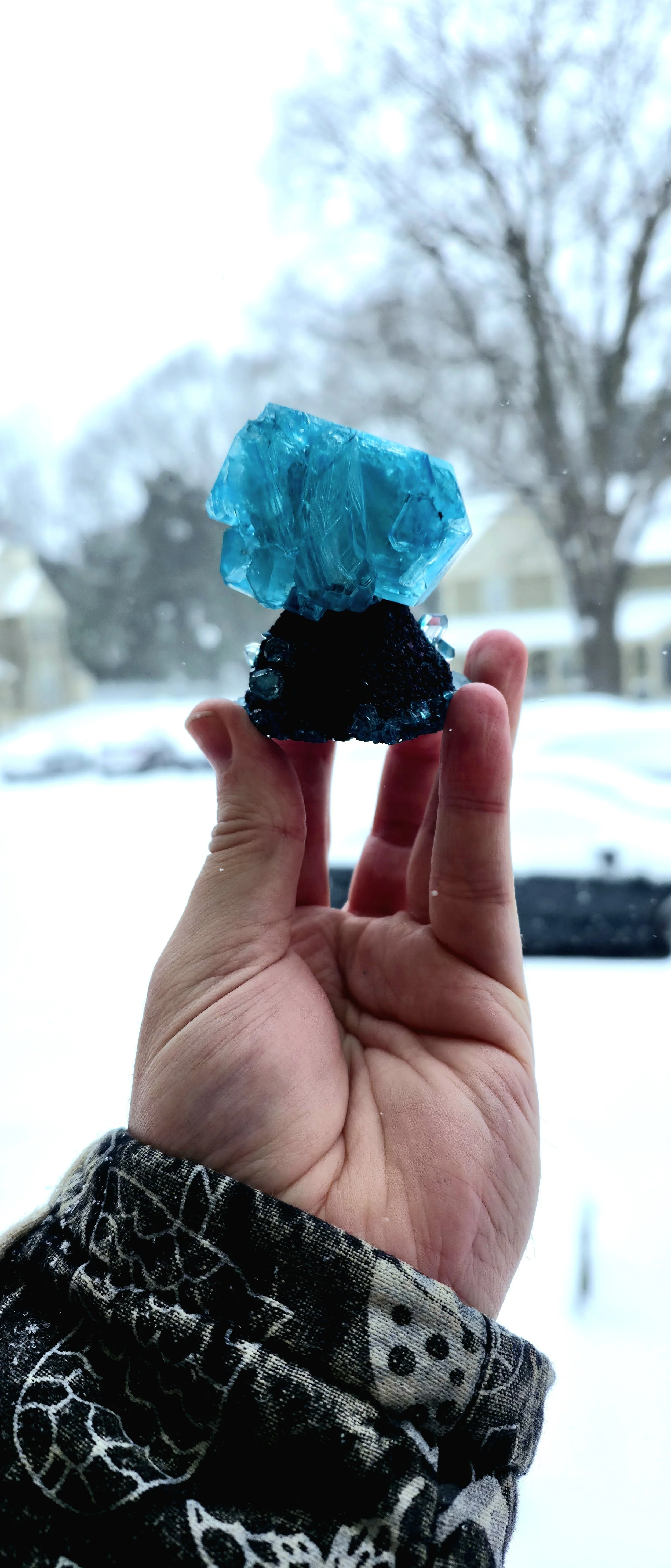 20260131_125919 2.jpg