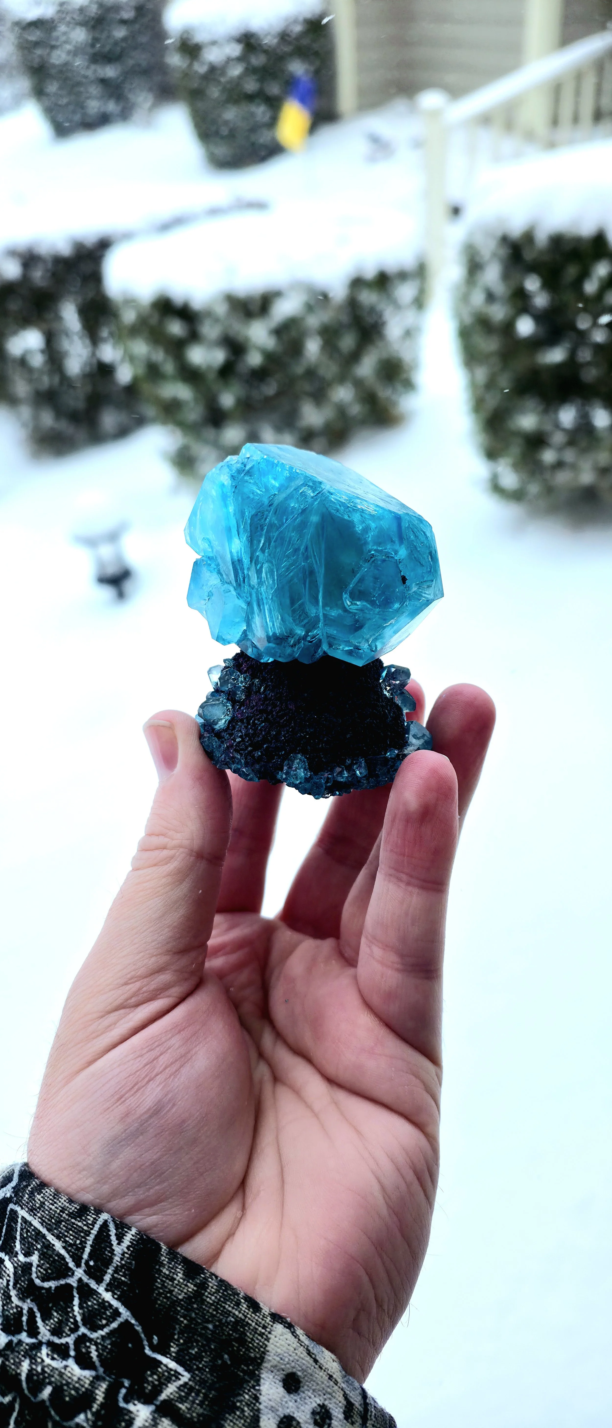 20260131_125927 2.jpg