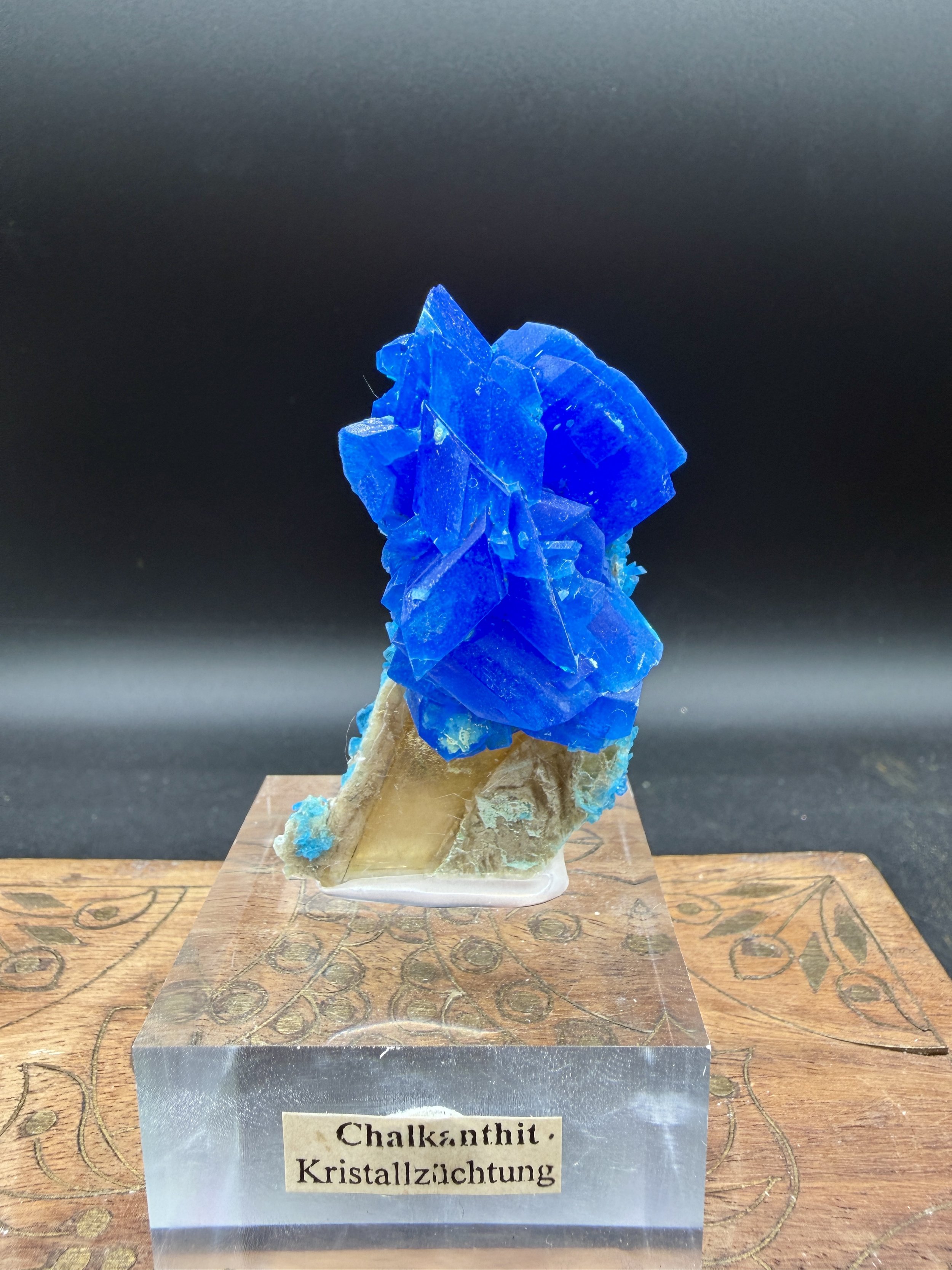 Electric Blue Chalcanthite on Yellow Selenite Matrix