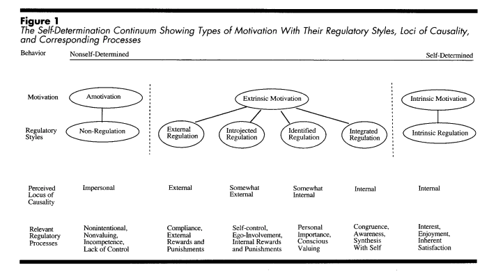 Three Innate Psychological Needs: Competence, Autonomy, and Relatedness