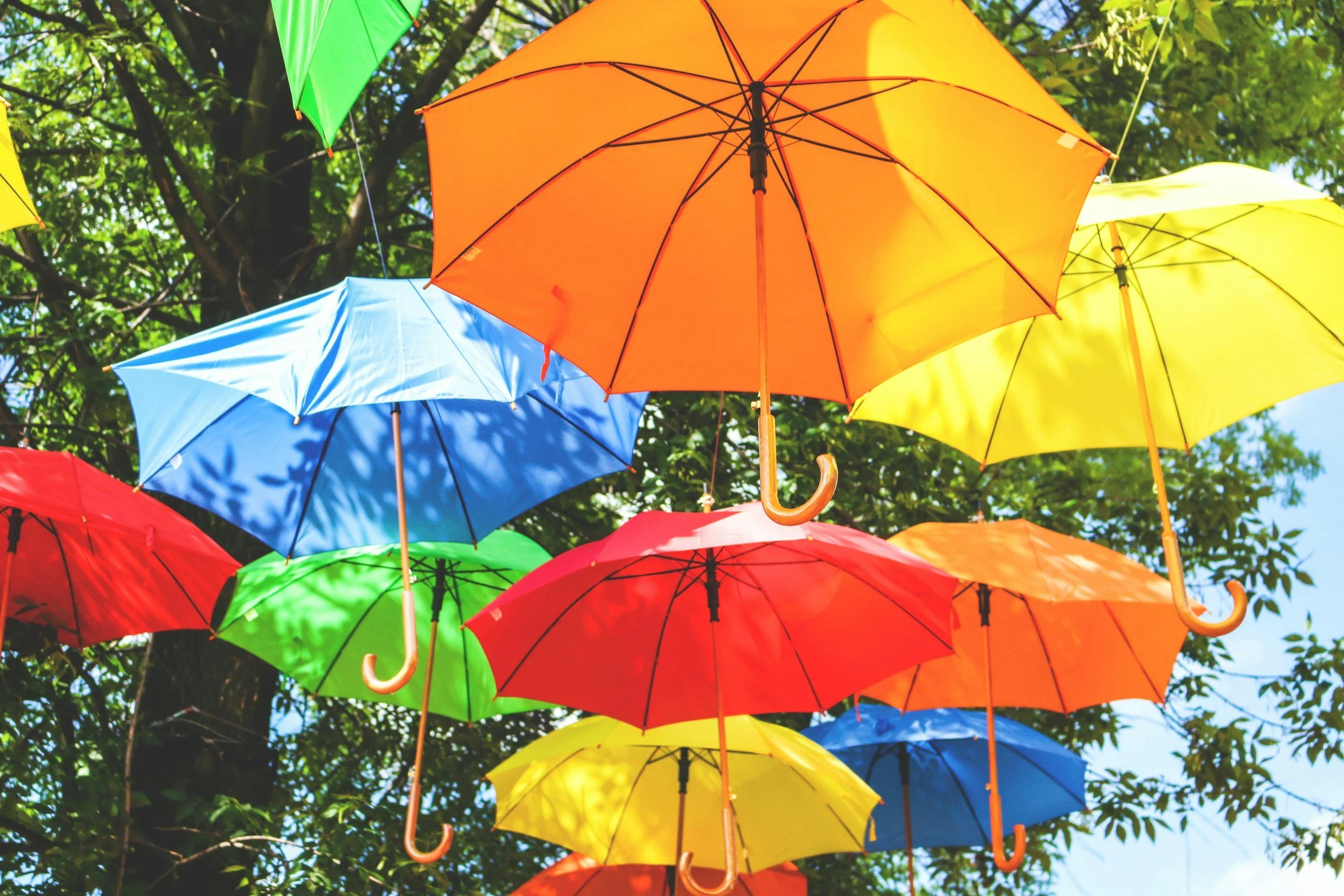 Colorful umbrellas hanging outdoors among leafy trees
