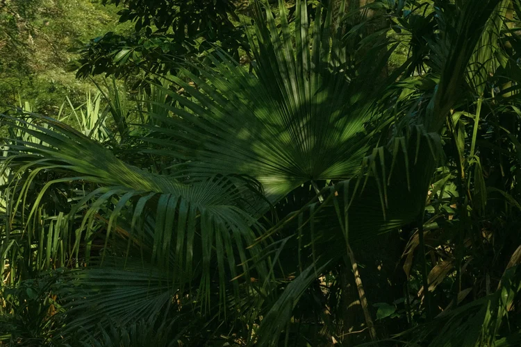 The Experience Ke Nui Kitchen