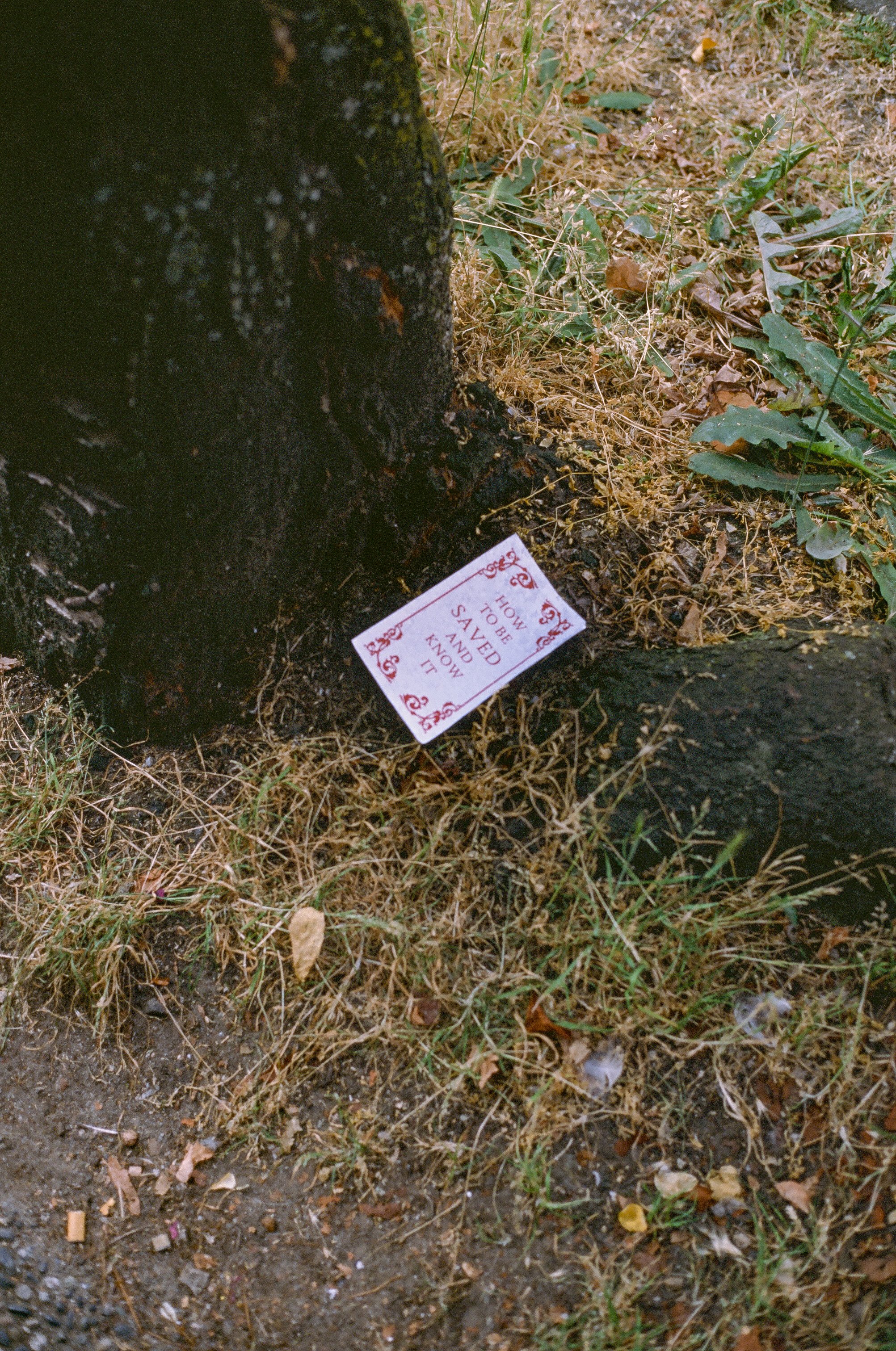 0018_###-4.jpg