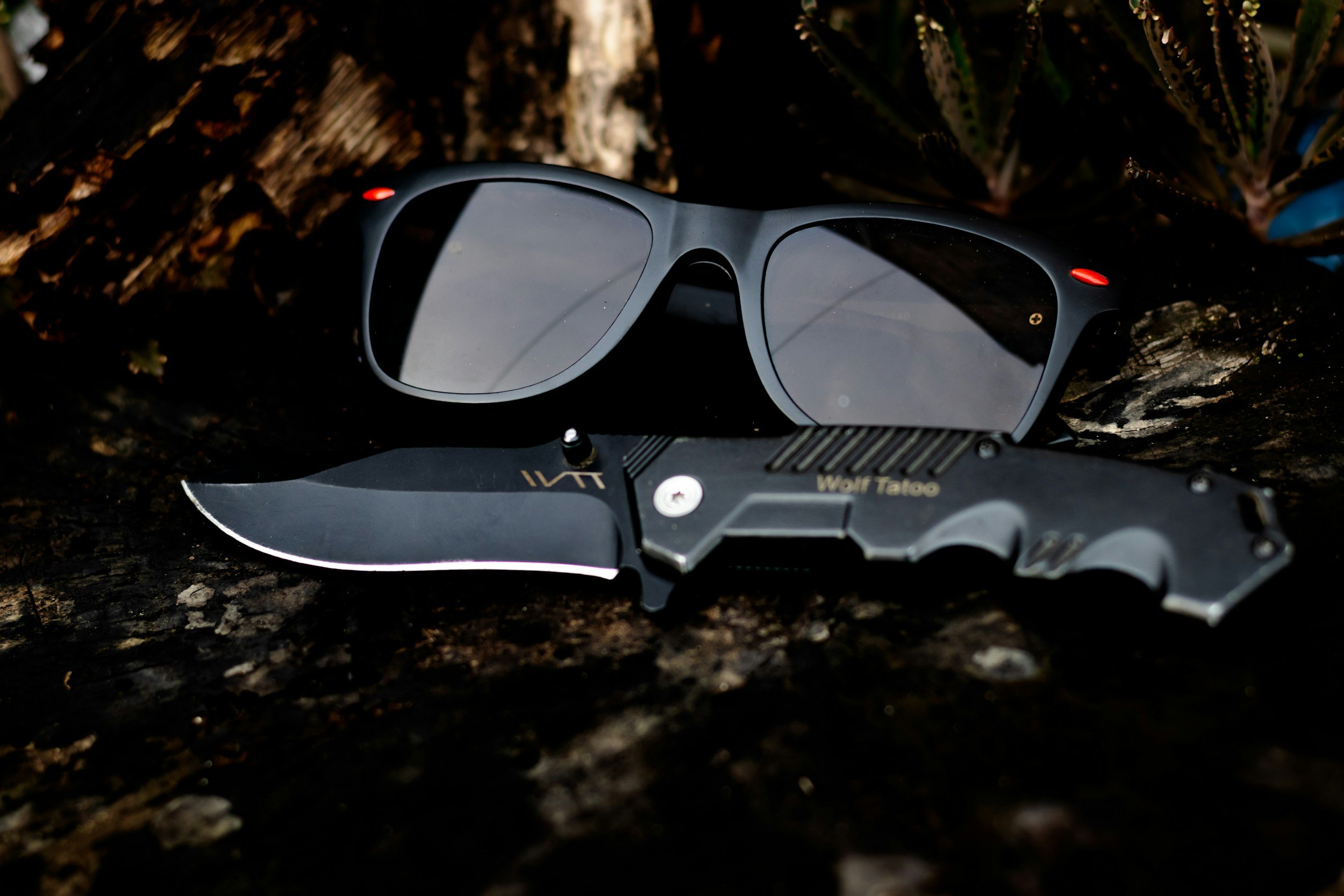 Black sunglasses and a black tactical knife with a curved blade resting on a log