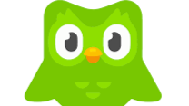 Green cartoon owl with large eyes and a small beak