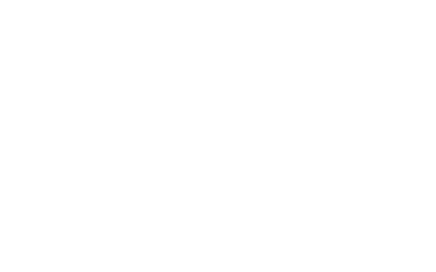 logo-alpine-blanc.webp