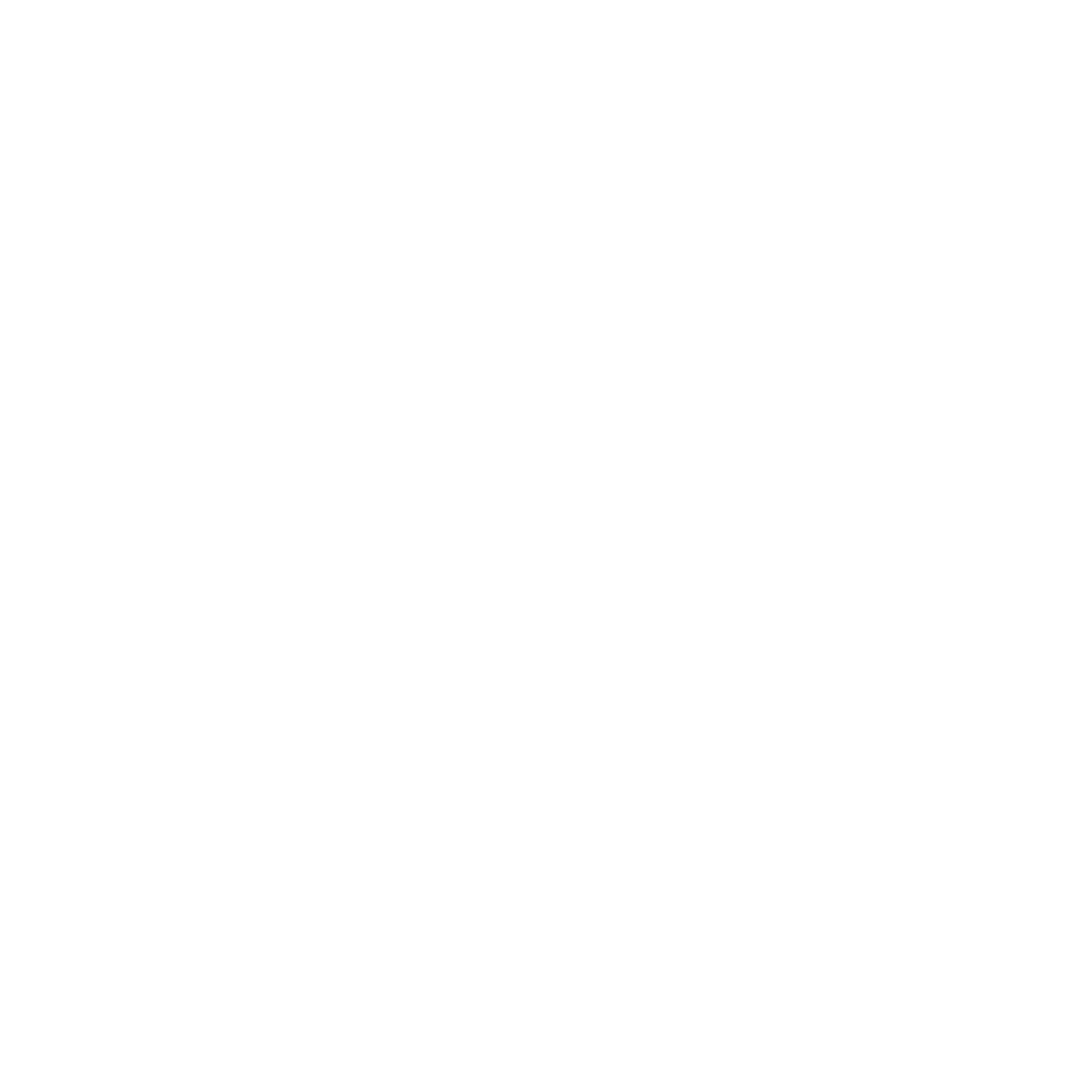 NISSAN.png