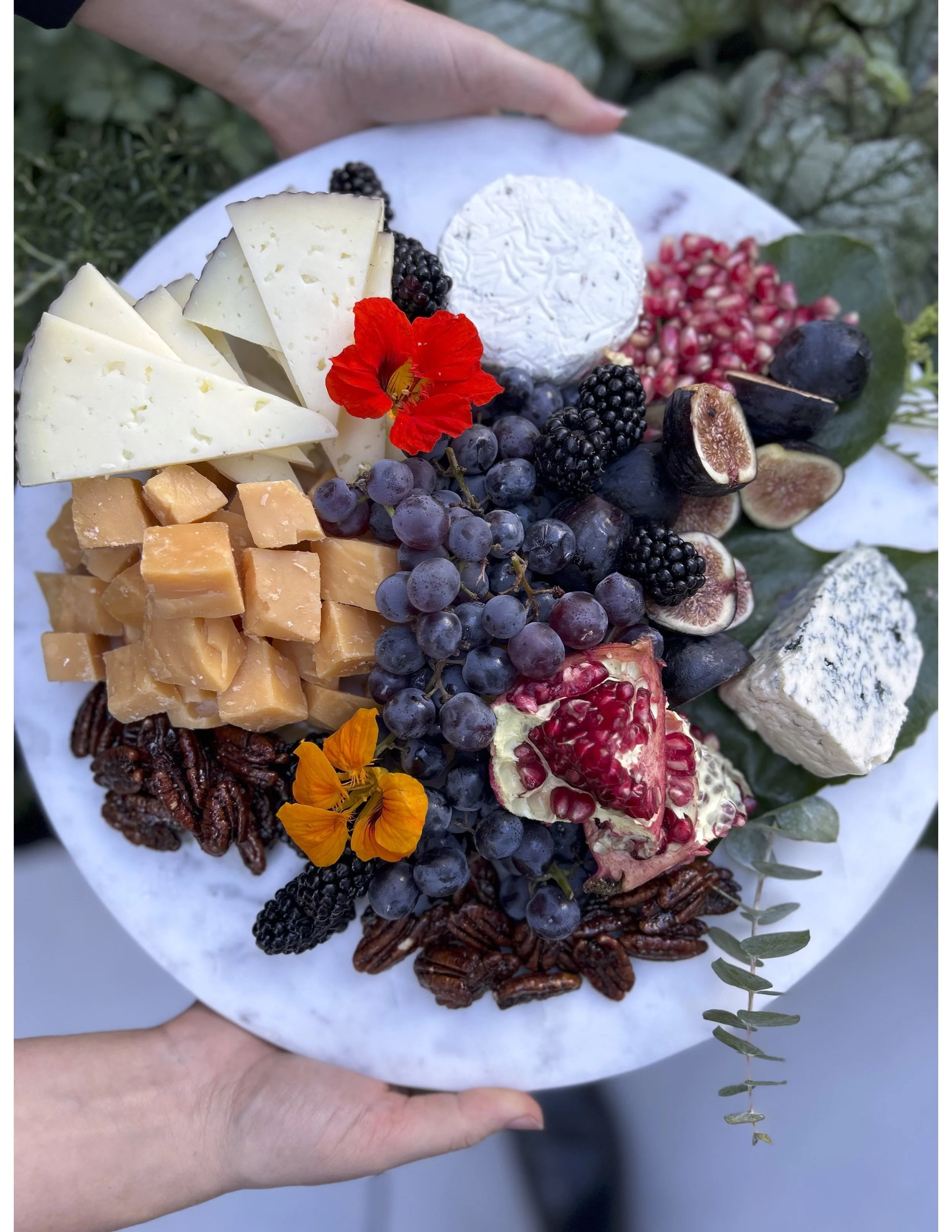 Cheese & Fruit