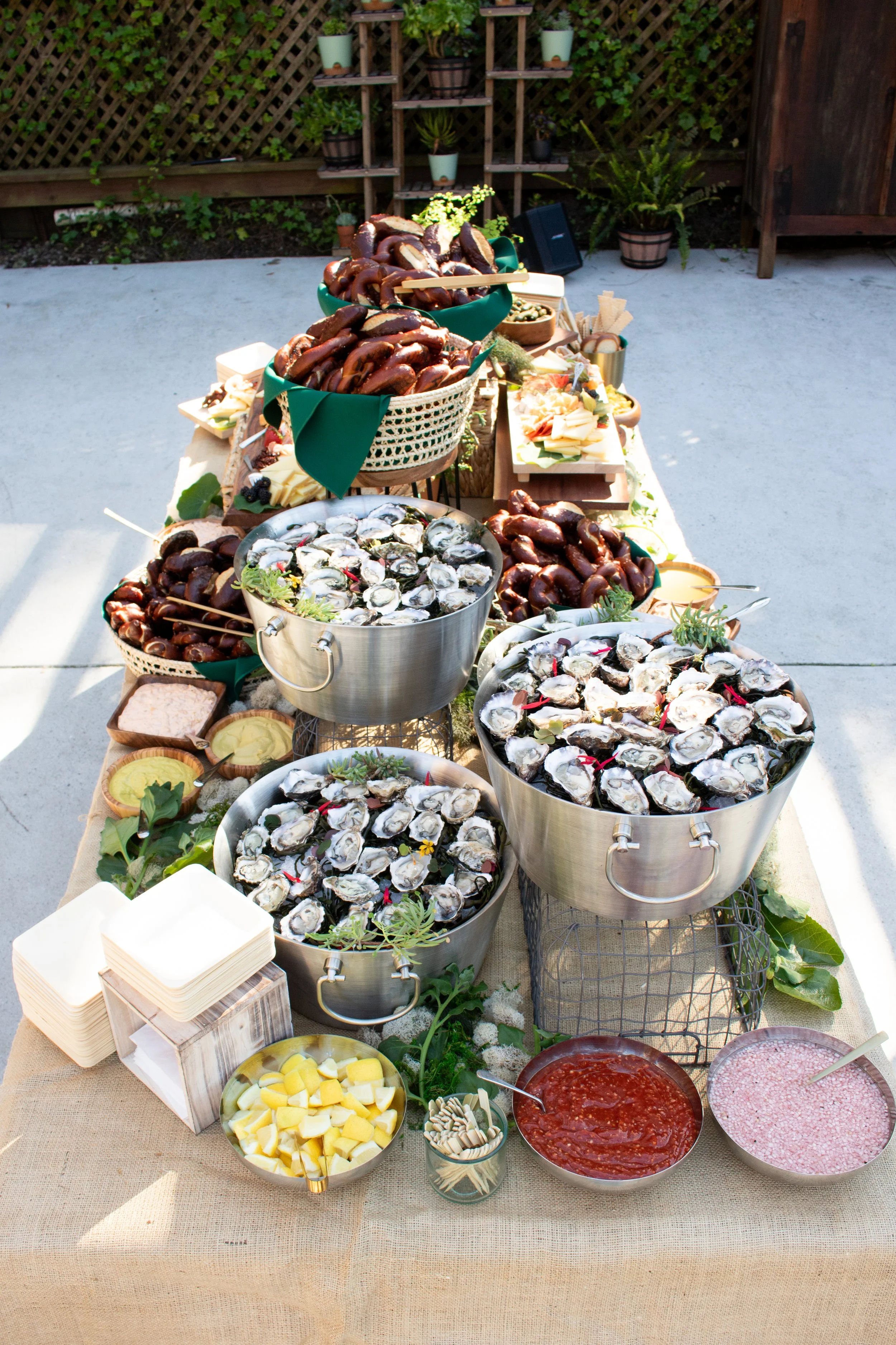 Oysters & Appetizers