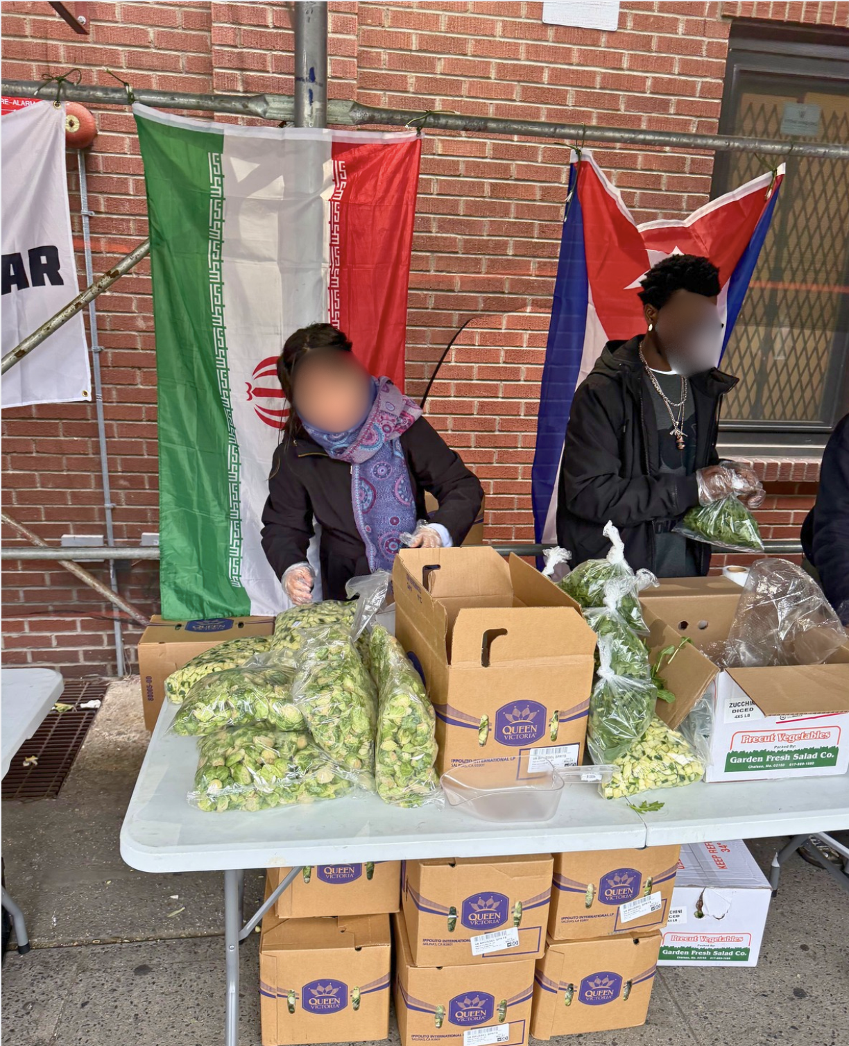 We Built a Survival Program in the South Bronx