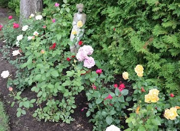 Embrace the Color: 7 Tips for Low-Maintenance Gardening for Busy Garden Loving Goddesses