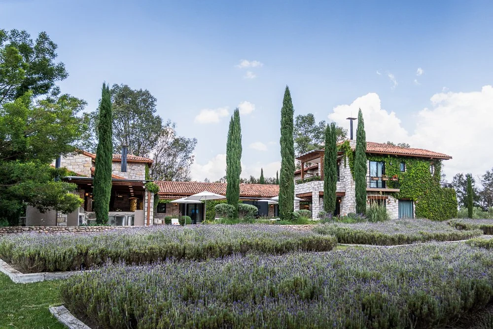 A house with stone and stucco exterior, surrounded by tall cypress trees, with a garden of purple lavender in the foreground and a blue sky with white clouds overhead. Vinedos San Lucas