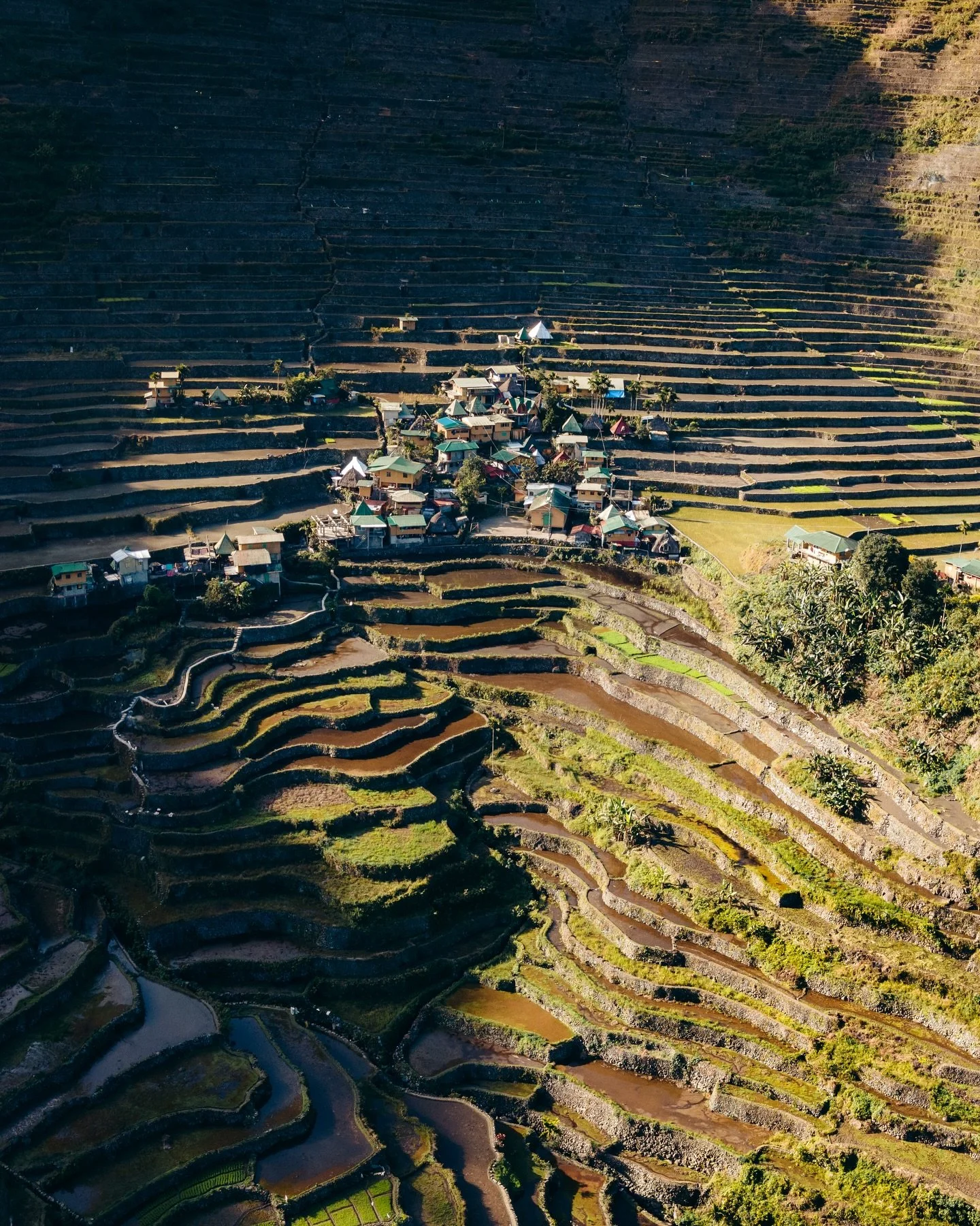 Des rizi&egrave;res en terrasse, des cascades entre les montagnes, des grands parents avalant du d&eacute;nivel&eacute; positif en tong&hellip; la vie simple dans la cordill&egrave;re des Philippines. 

Ce petit paradis pr&eacute;serv&eacute; a &eacu
