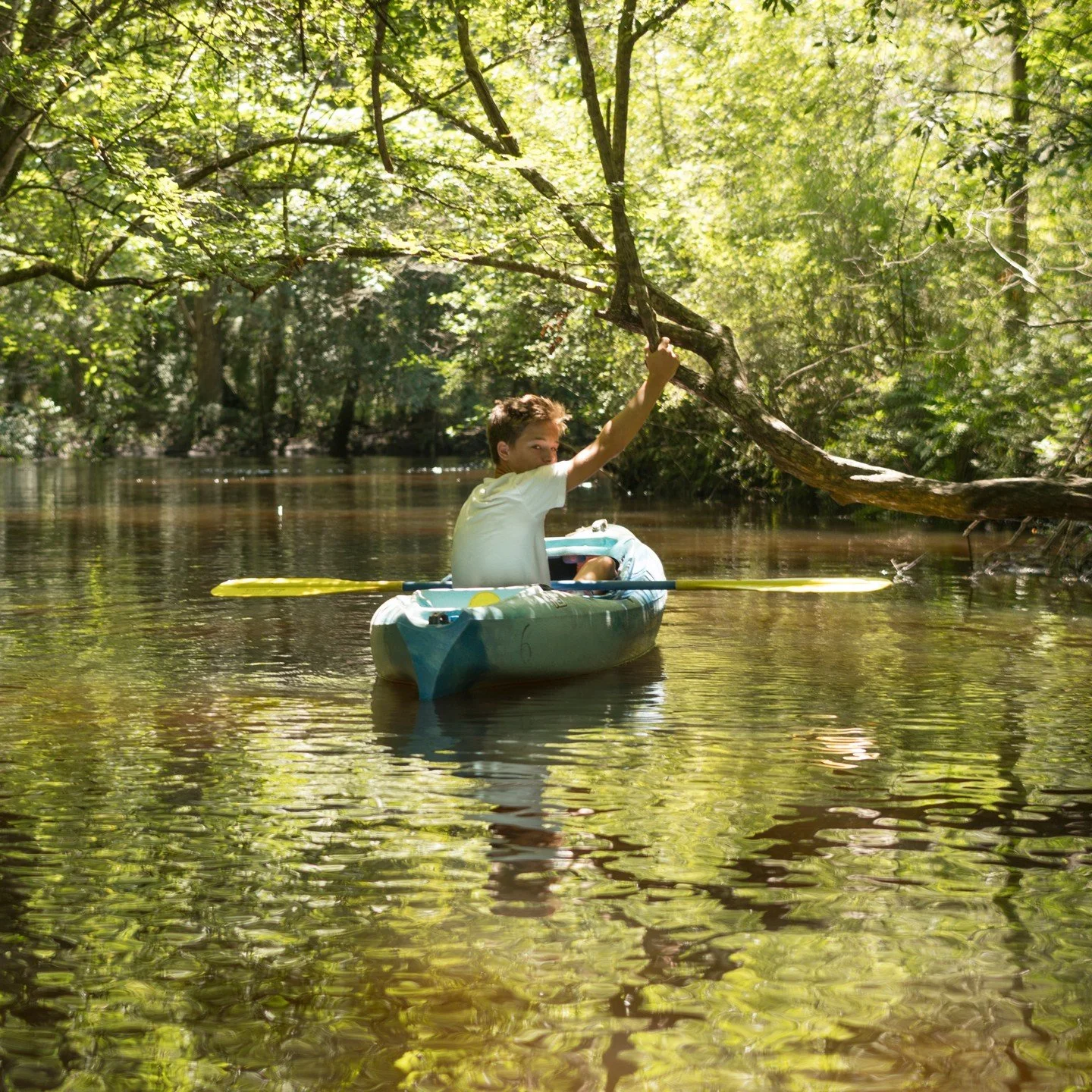 All are welcome to the 5th annual Alligator Creek Fest on Saturday, November 23rd! Enjoy burgers, kayaking, e-bike tours, raffles, and live demos surrounding Florida wildlife!

RSVP required.

Visit https://www.wellenparktimes.com/events for more inf