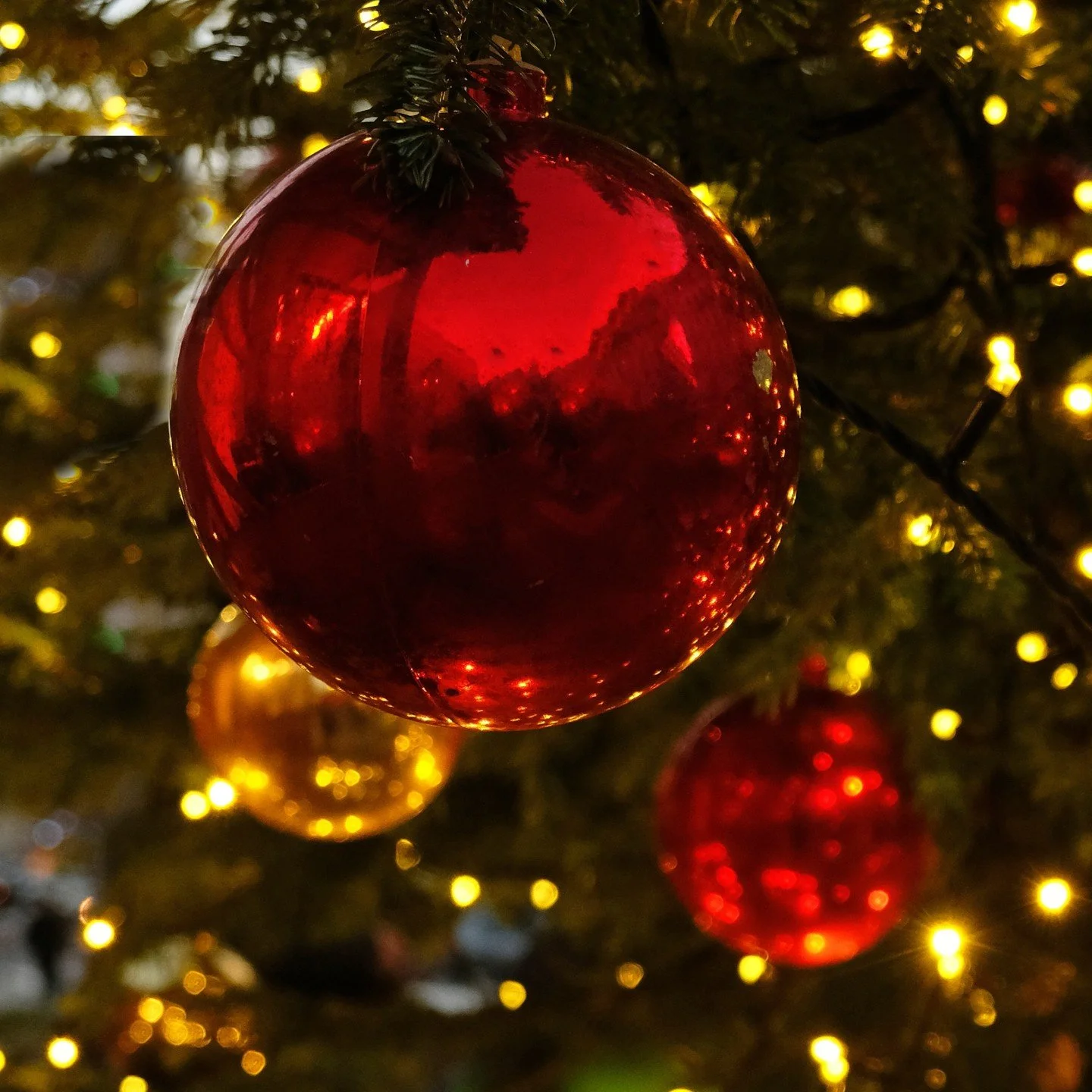 The Mayor's Hometown Christmas is coming up on November 29th! Embrace the festive atmosphere with live music from local choirs, a visit from Santa Claus, food trucks, restaurants, plenty of shopping, and, of course, a Christmas tree lighting! 🎄

Vis