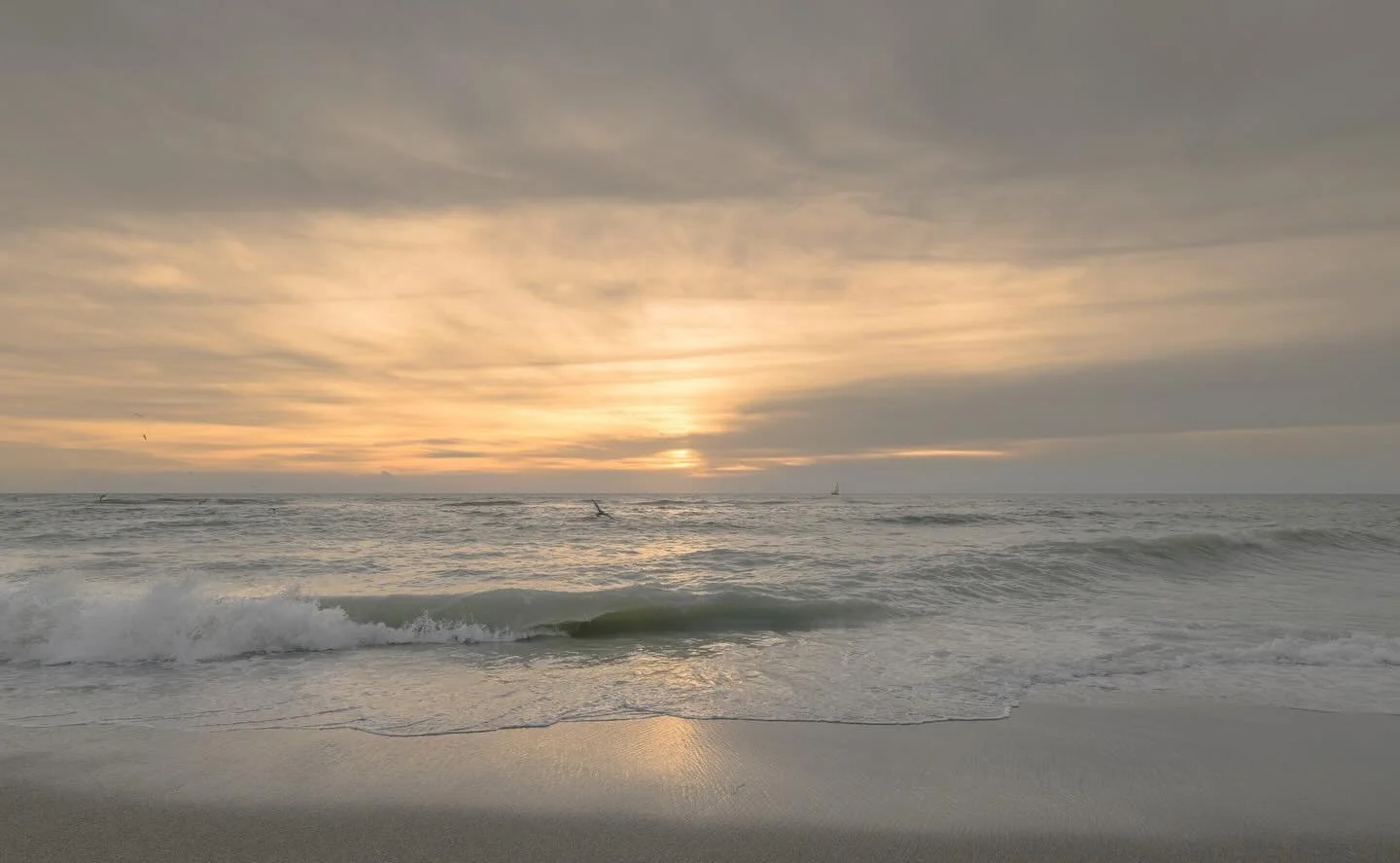 There&rsquo;s never been a Florida sunset on the beach that wasn&rsquo;t photo worthy 🏝️