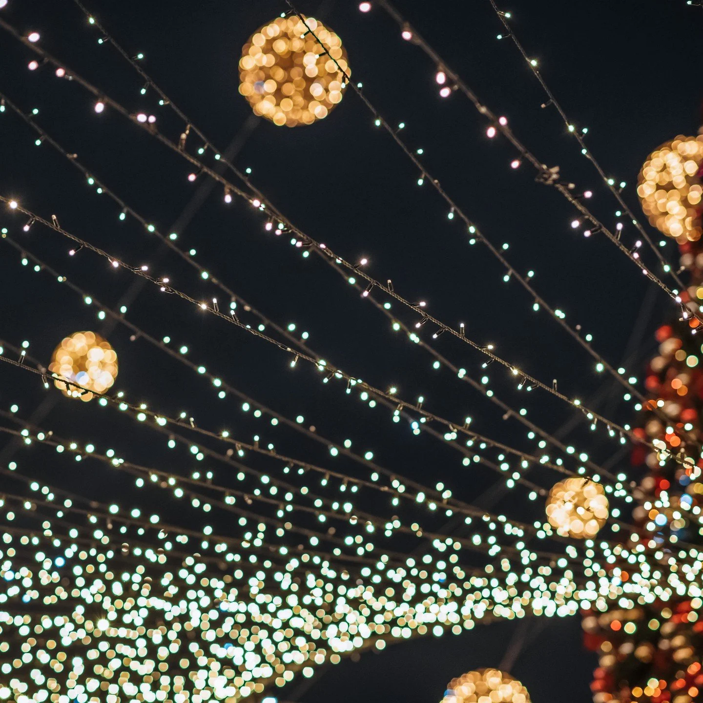 Christmas Carol Trolley: Letters To Santa starts December 1st in Sarasota! Enjoy lights, caroling, and musical performances while wearing your favorite festive outfits.

Visit https://www.wellenparktimes.com/events for more information.