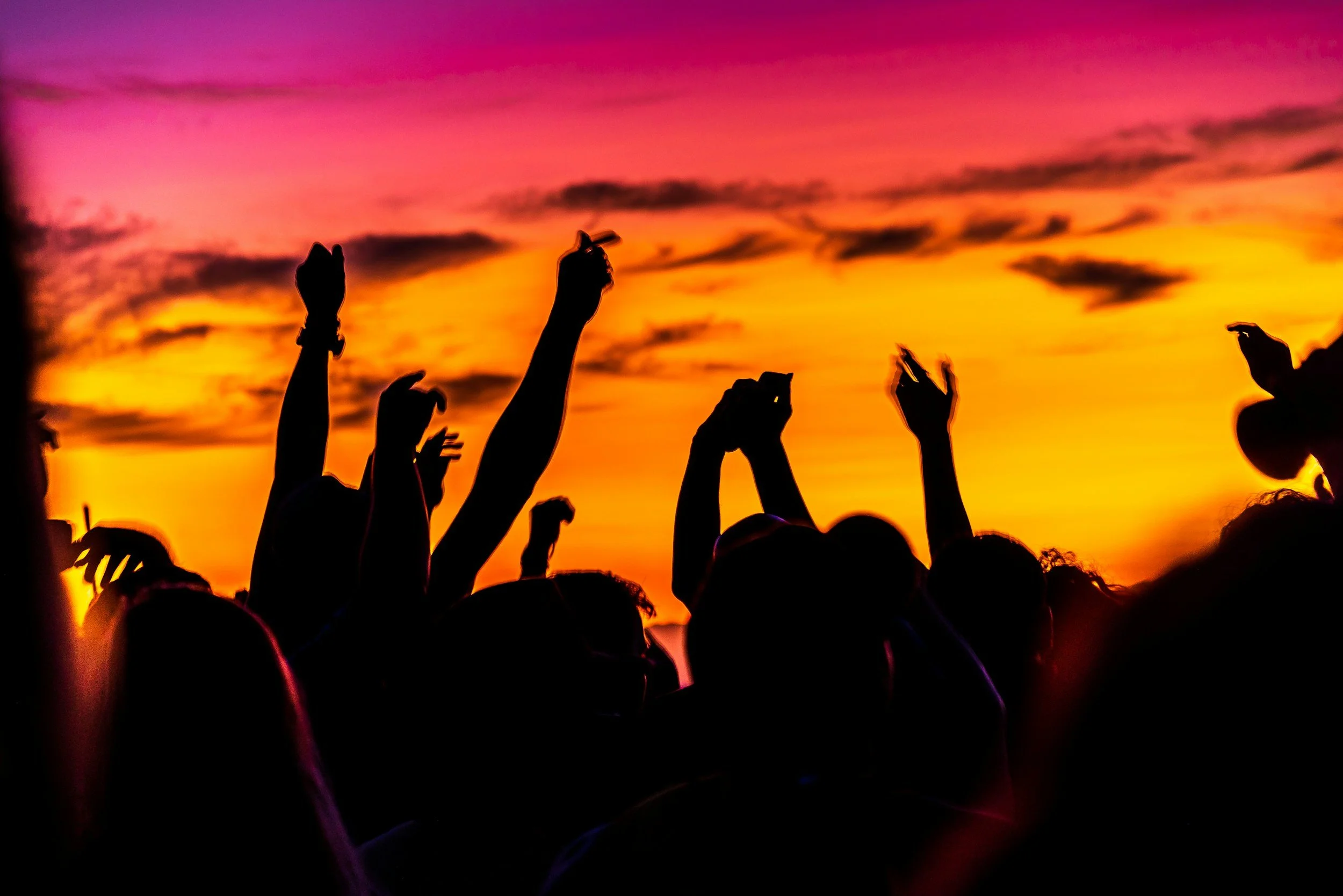 Venice Beach Party