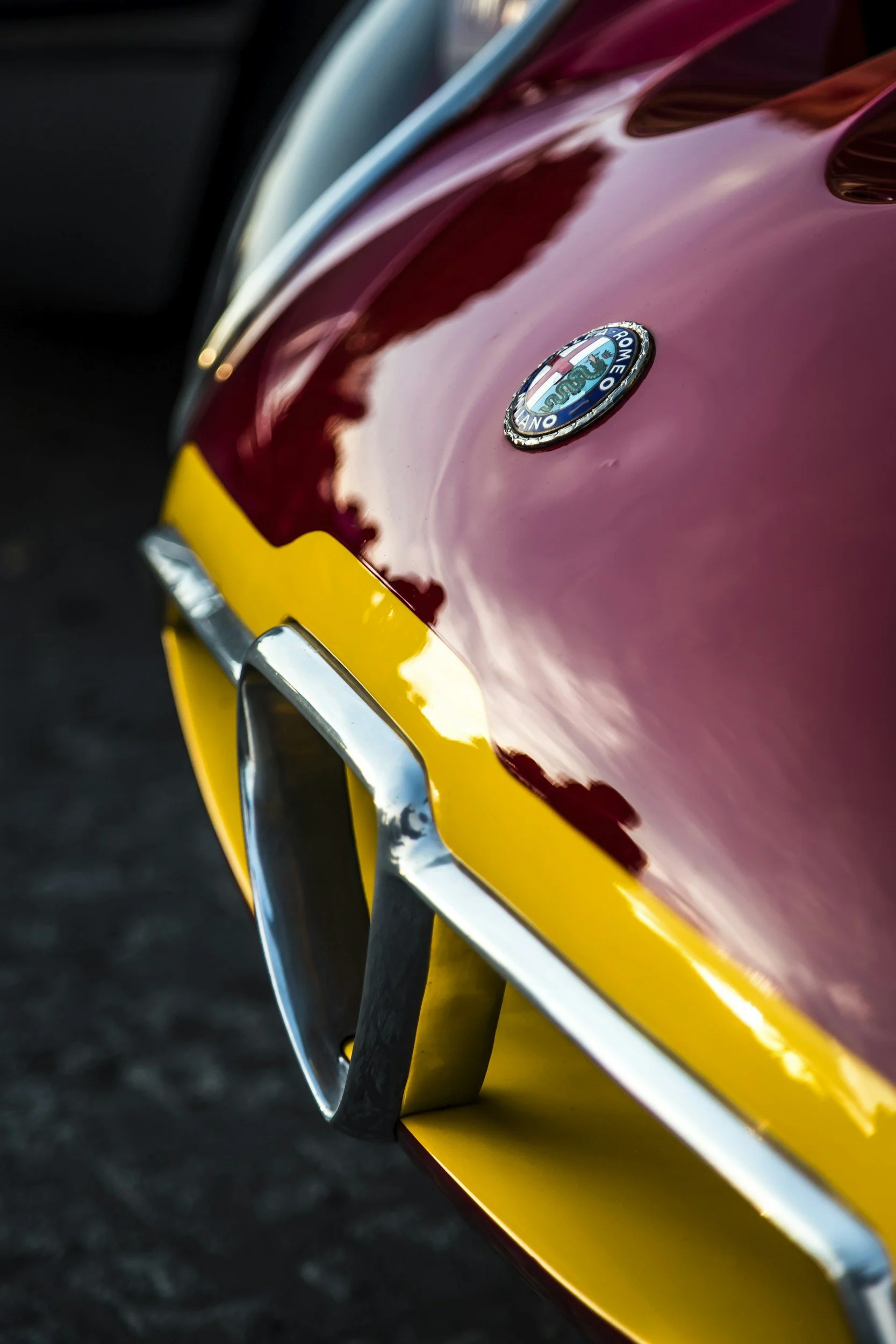 1000 Miglia Florida Experience