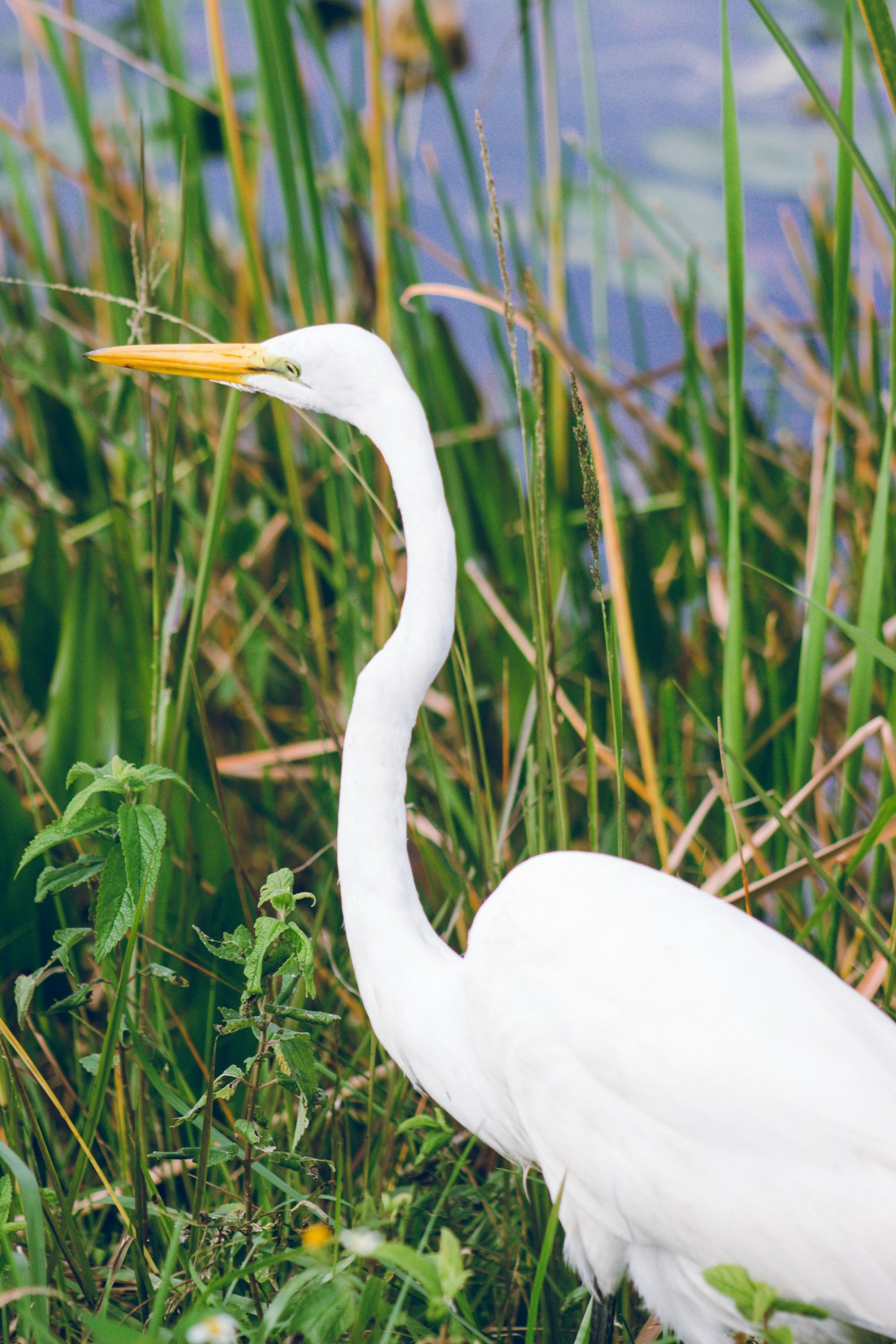 North Port National Trails Day