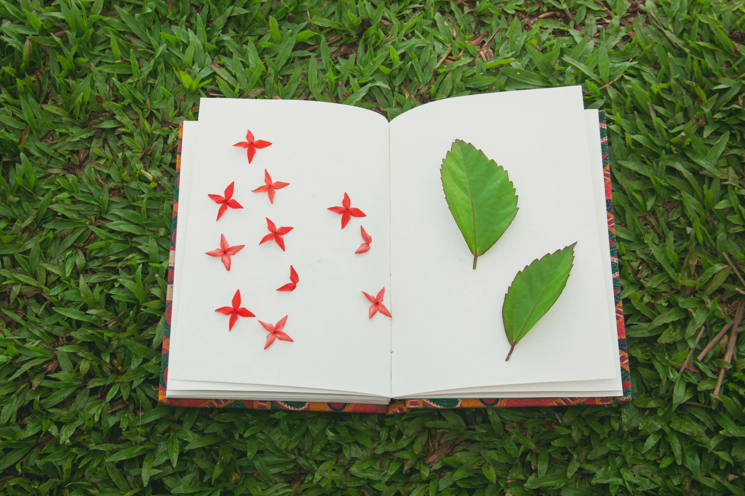 Storytime at the Arboretum