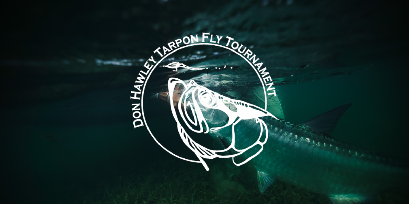 52nd Annual Don Hawley Tarpon Tournament