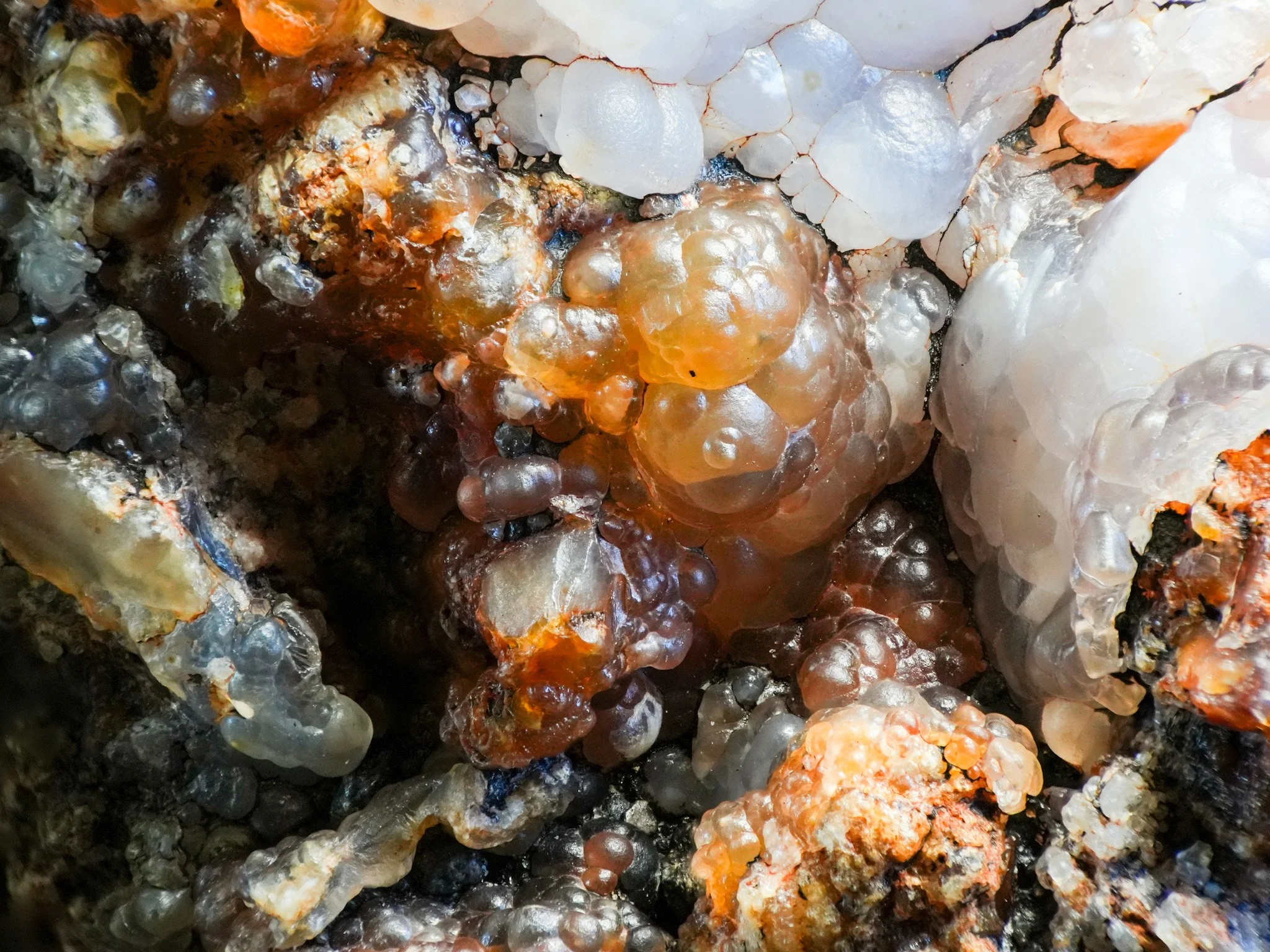 2026-02-26 15-55-31 (B,R8,S1) 2.jpg