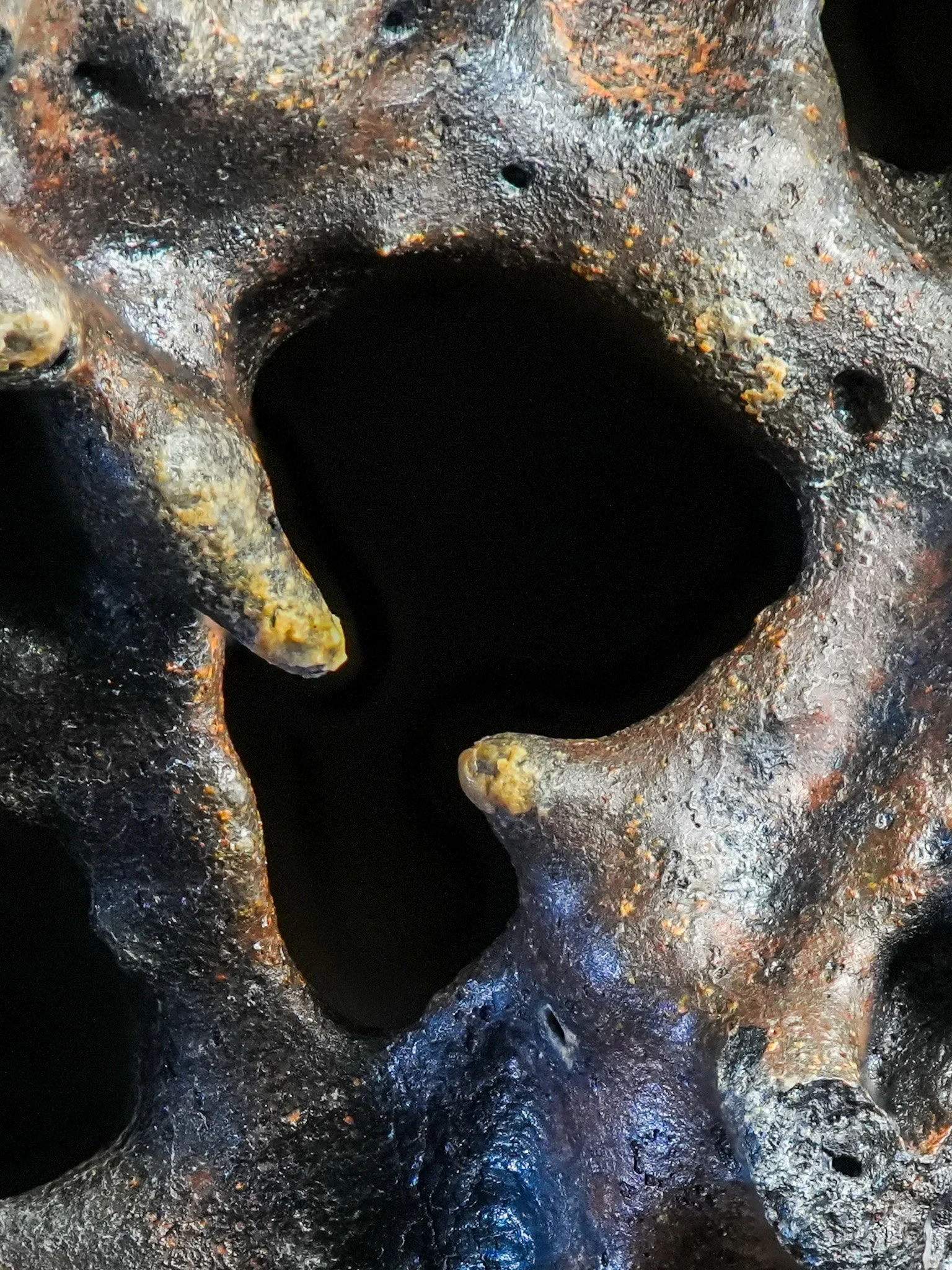 2026-02-02 16-19-50 (B,R8,S4).jpg