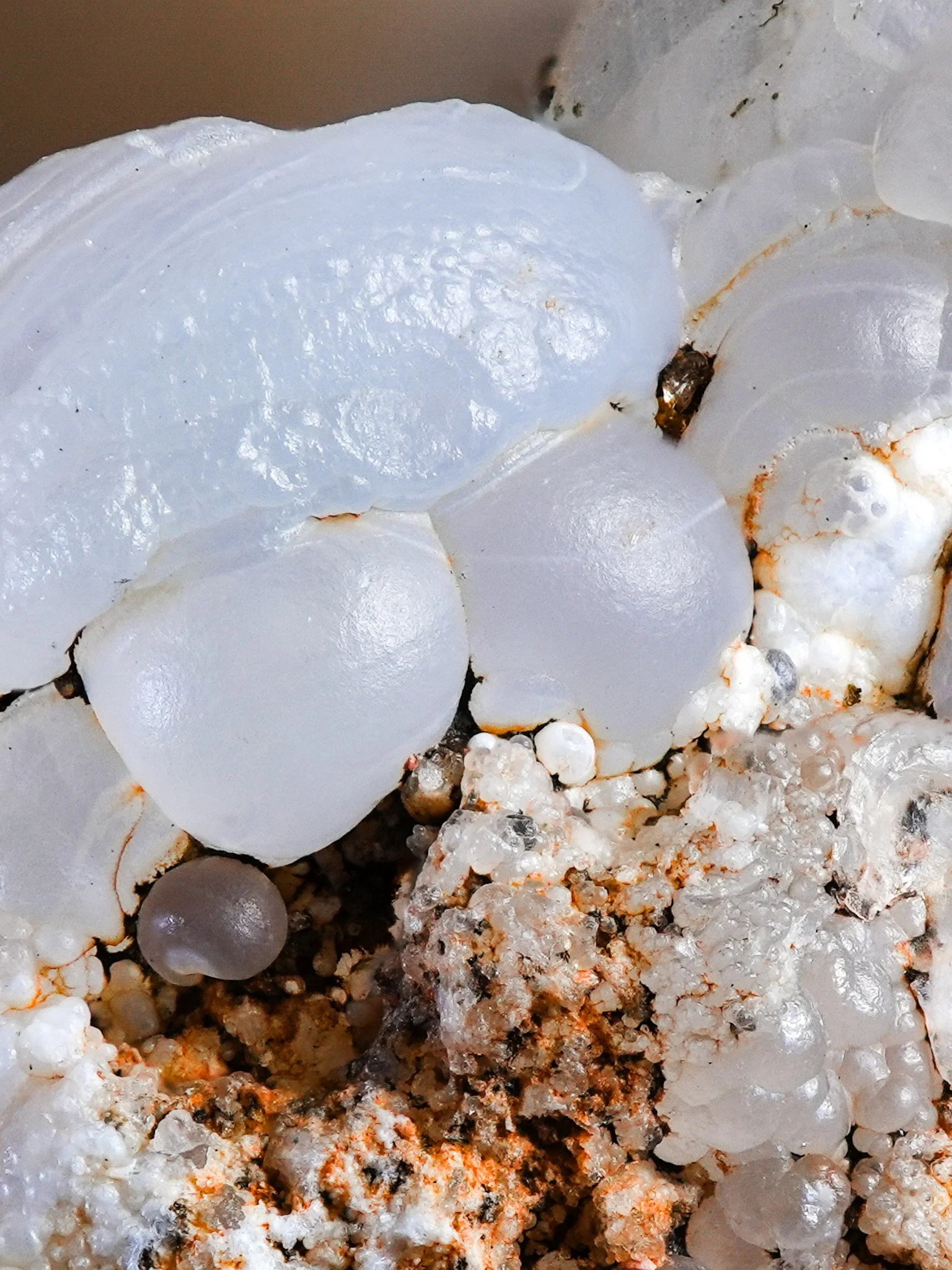 2026-02-12 13-21-43 (B,R8,S1).jpg