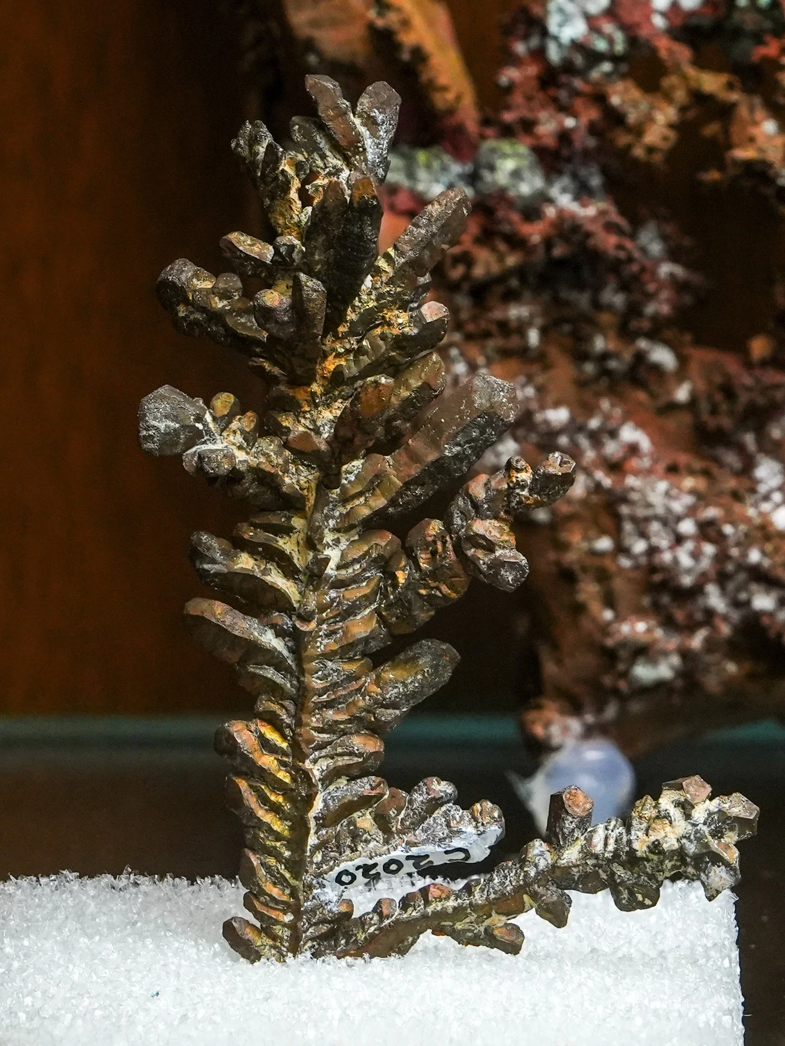 2026-03-05 15-12-37 (B,R8,S1).jpg