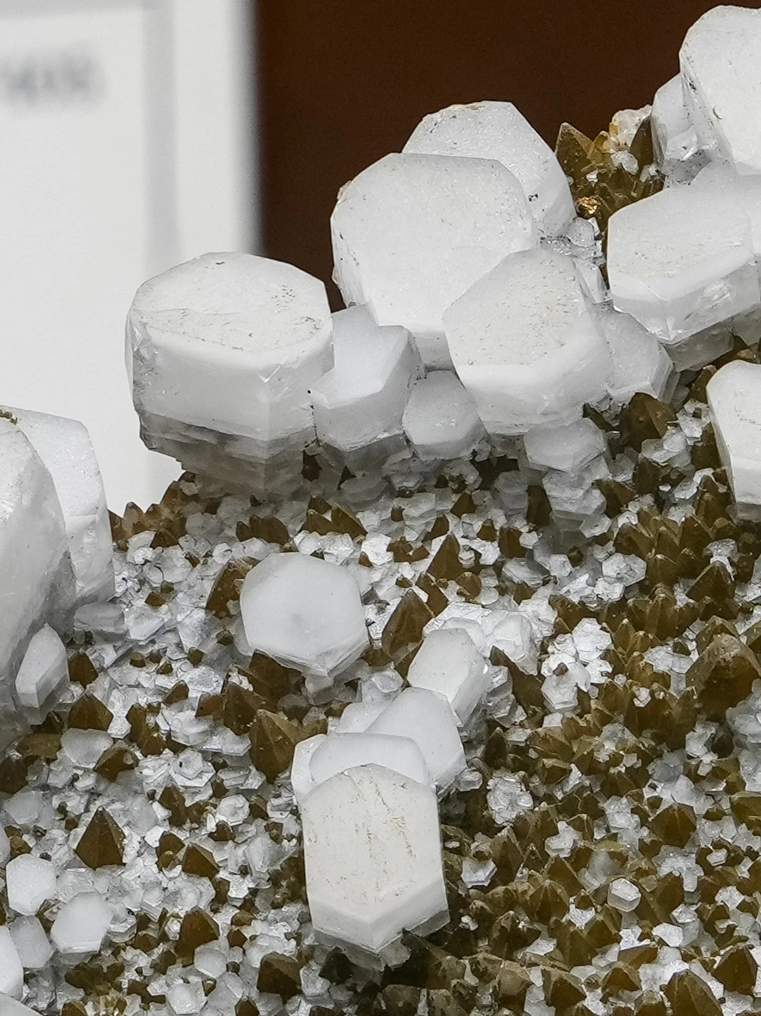 2026-03-05 15-17-26 (B,R8,S1).jpg