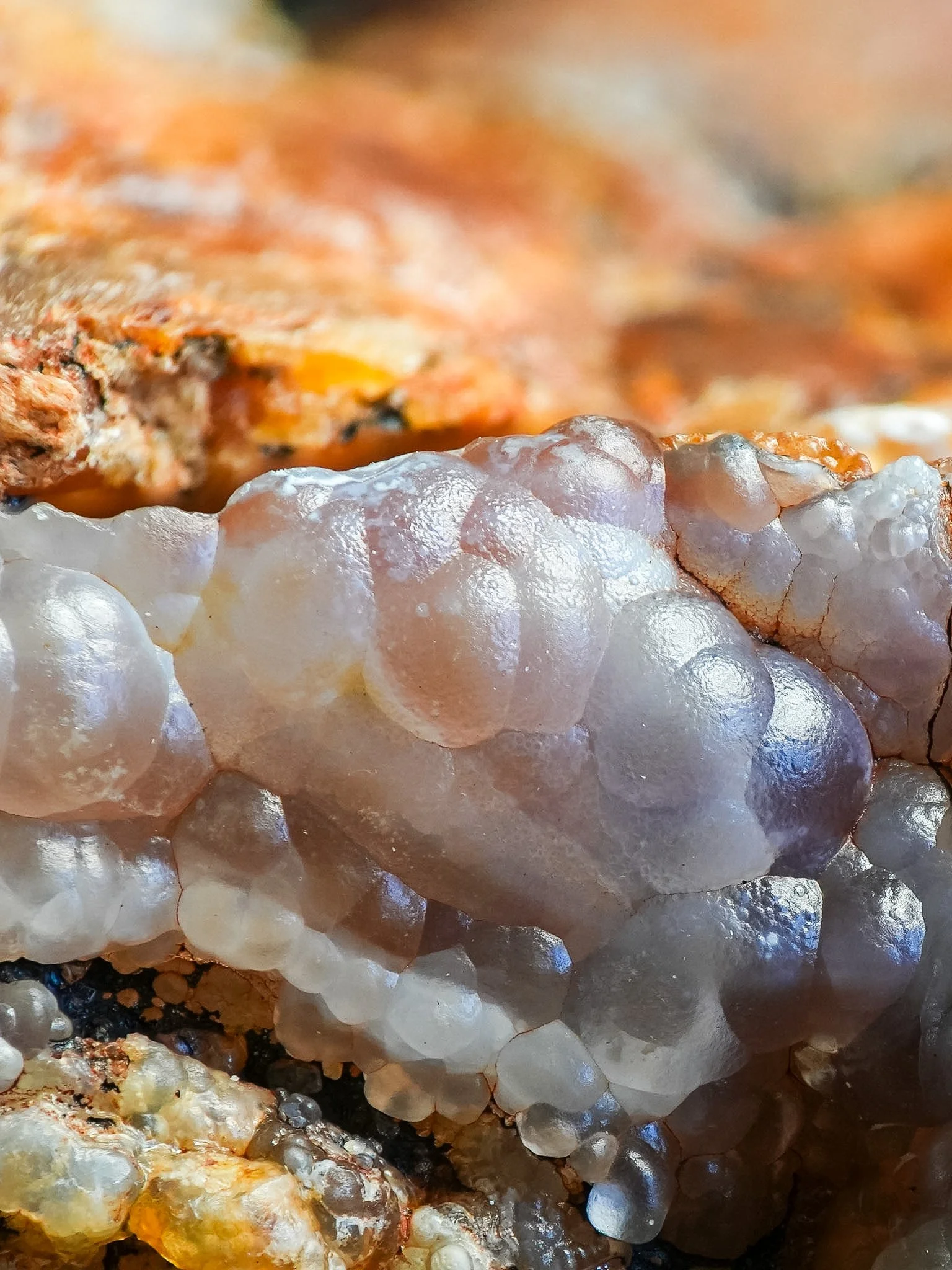 2026-02-26 15-54-26 (B,R8,S1).jpg