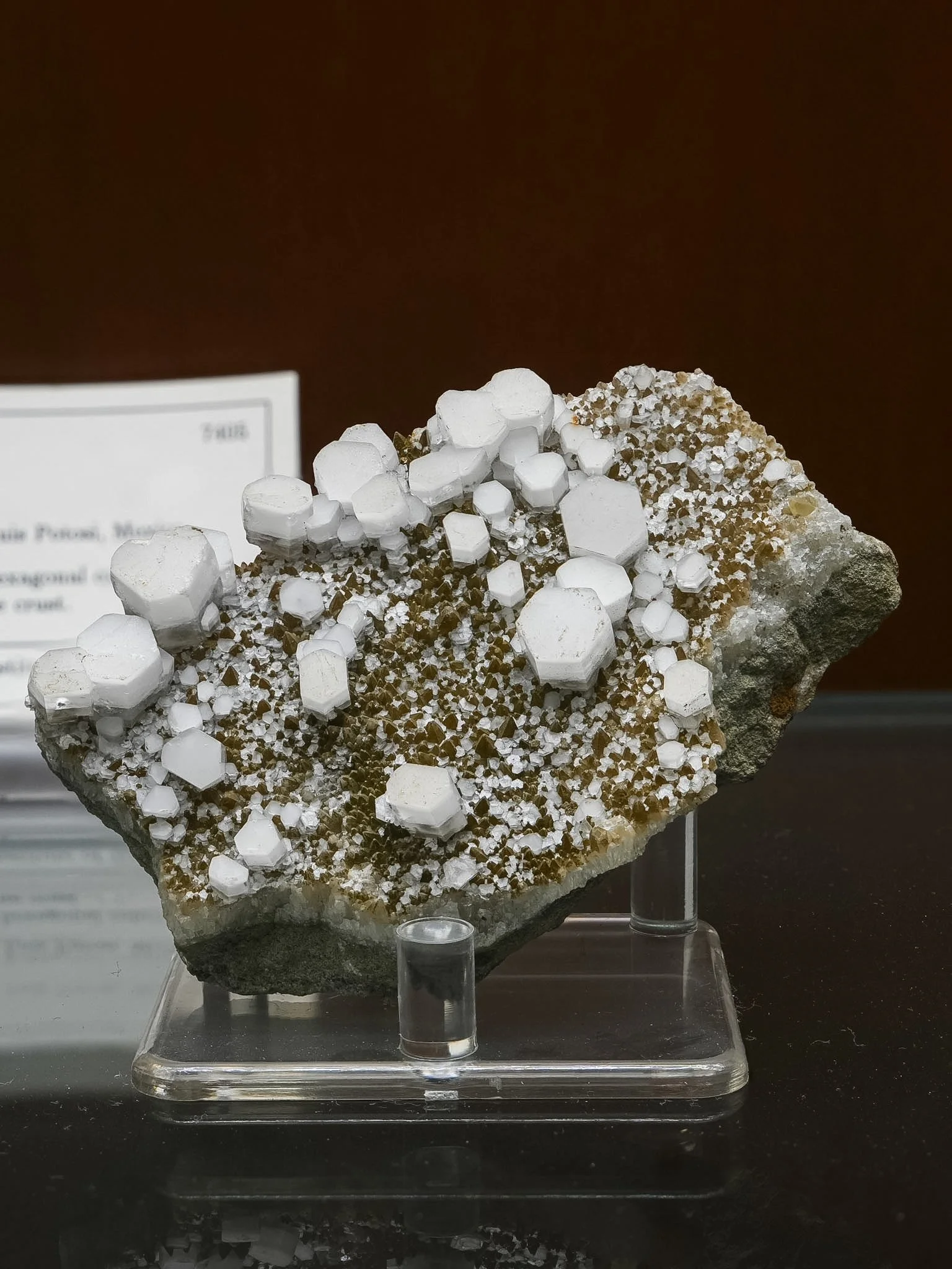 2026-03-05 15-16-38 (B,R8,S1).jpg