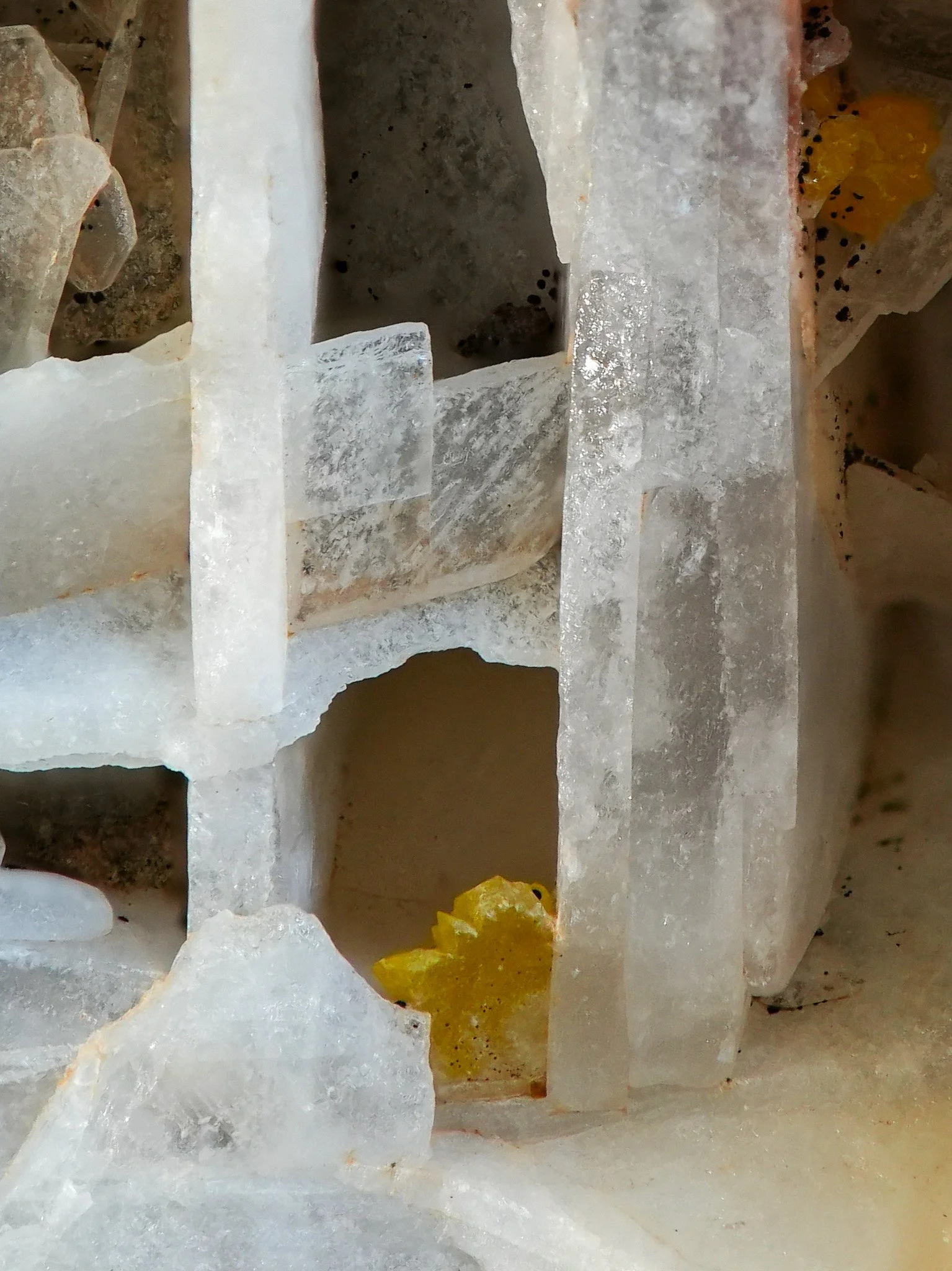 2026-01-20 15-03-31 (B,R8,S4).jpg