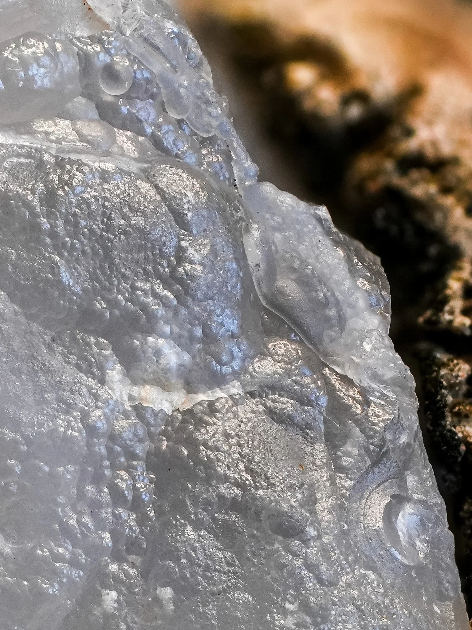 2026-03-12 13-00-02 (B,R8,S1).jpg