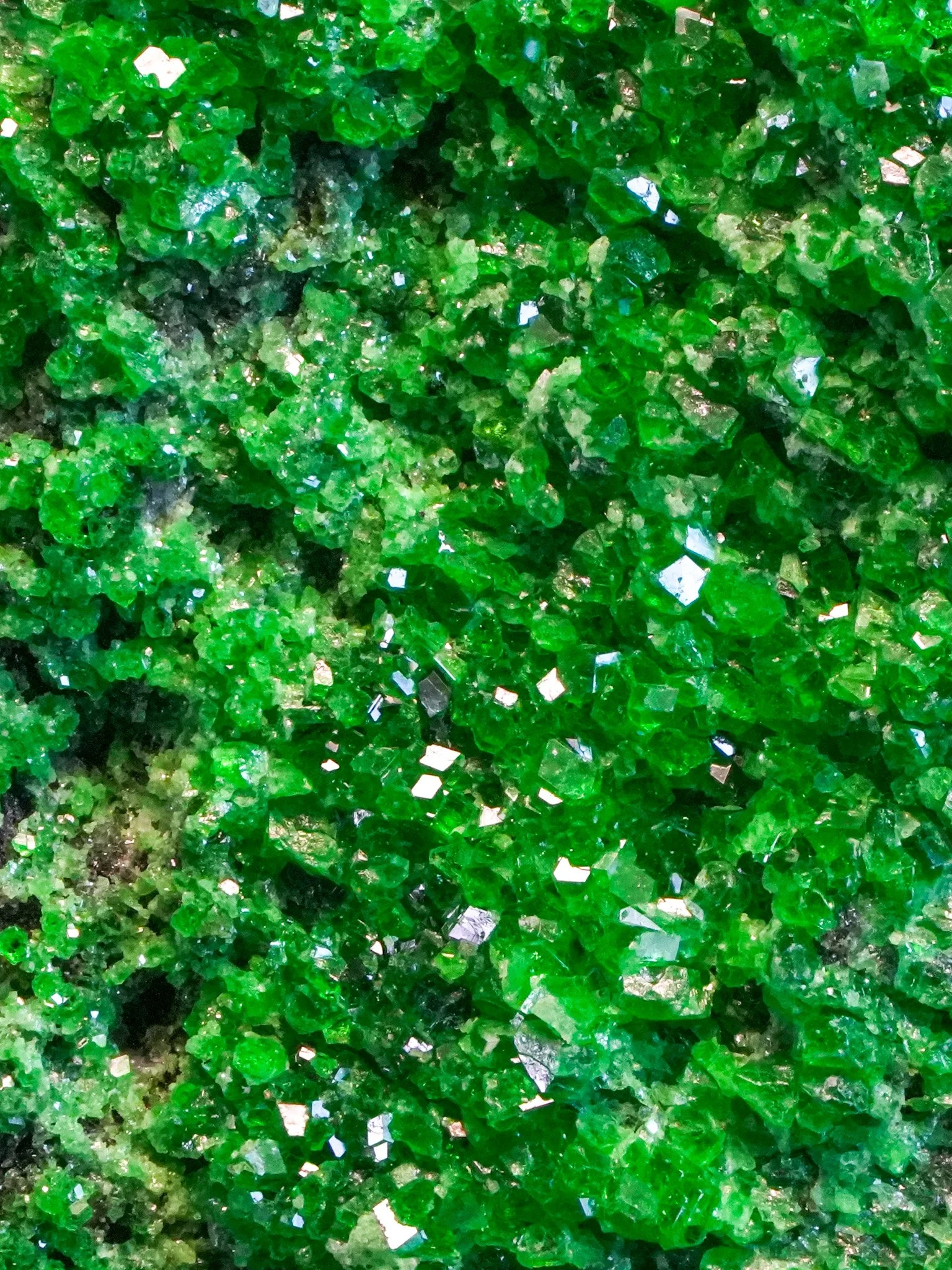 2026-04-20 13-42-24 (B,R8,S4) 2.jpg