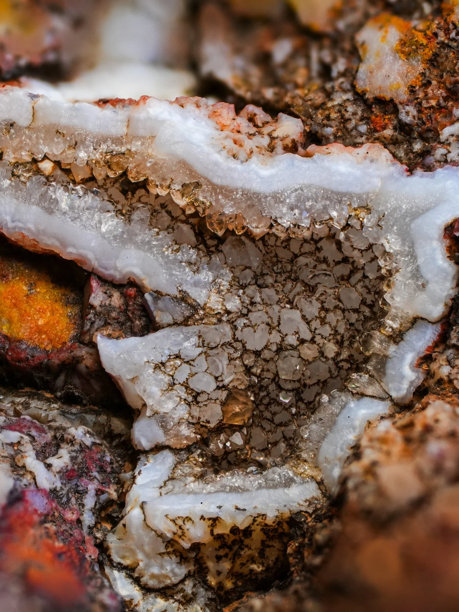 2026-03-19 13-46-05 (B,R8,S1).jpg