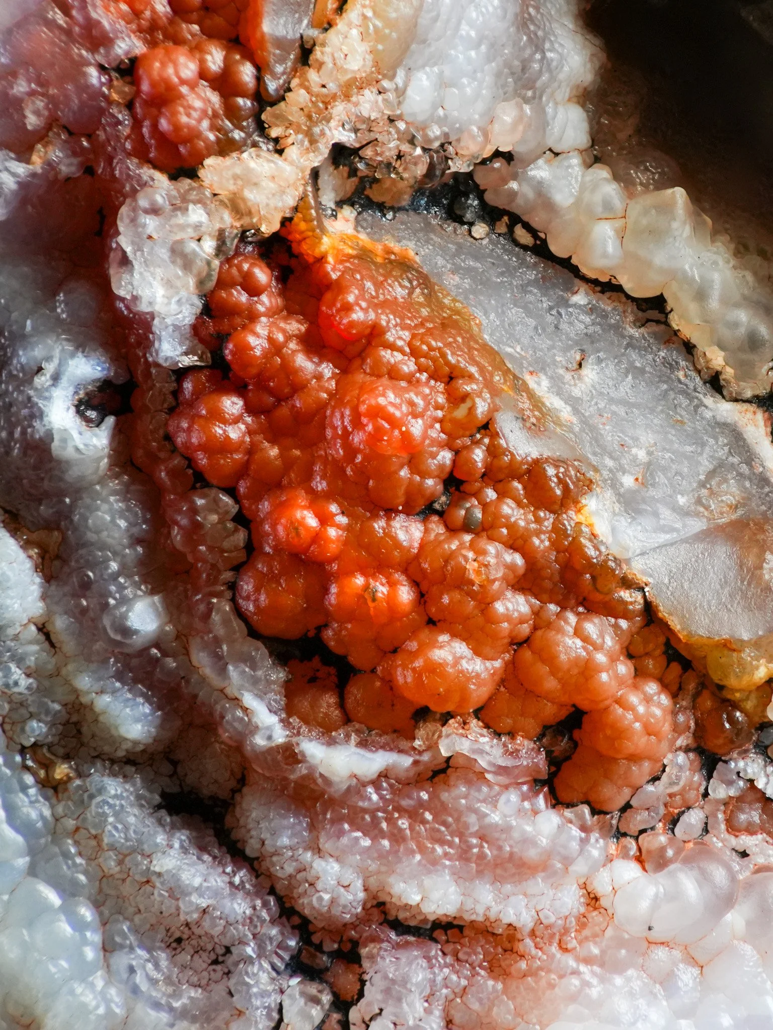 2026-02-26 15-15-49 (B,R8,S1) 2.jpg