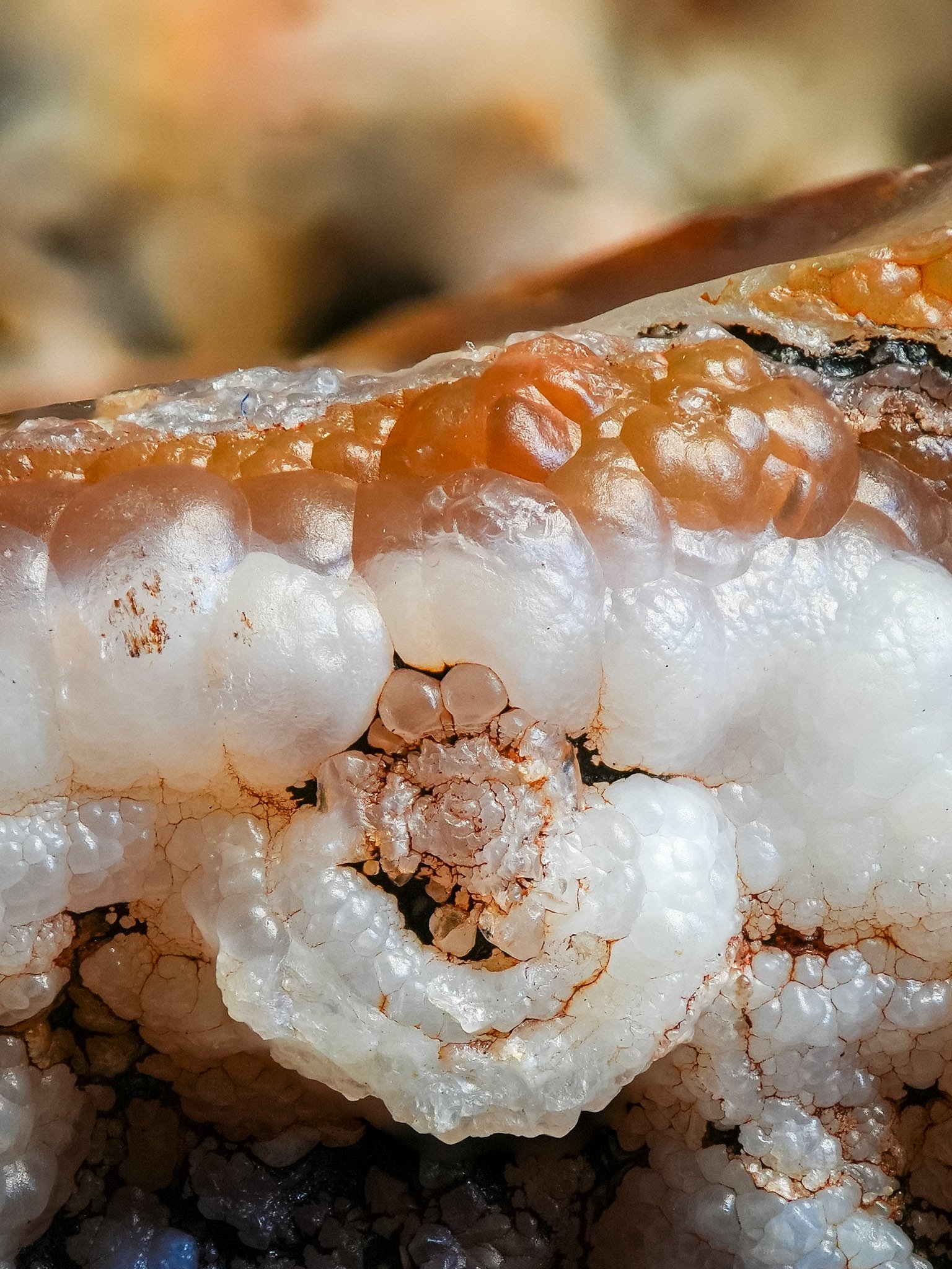 2026-02-26 15-26-34 (B,R8,S1).jpg