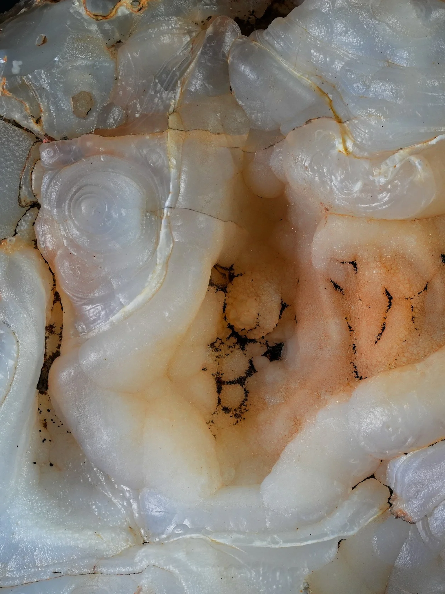 2026-01-02 12-18-44 (B,R8,S4).jpg