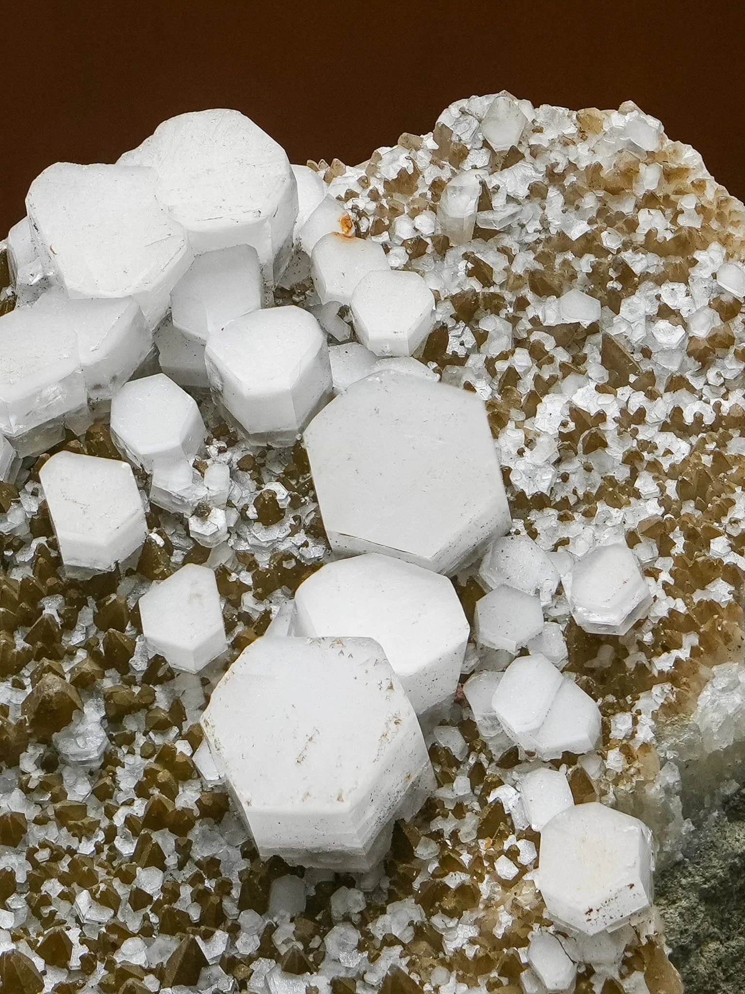 2026-03-05 15-17-02 (B,R8,S1).jpg