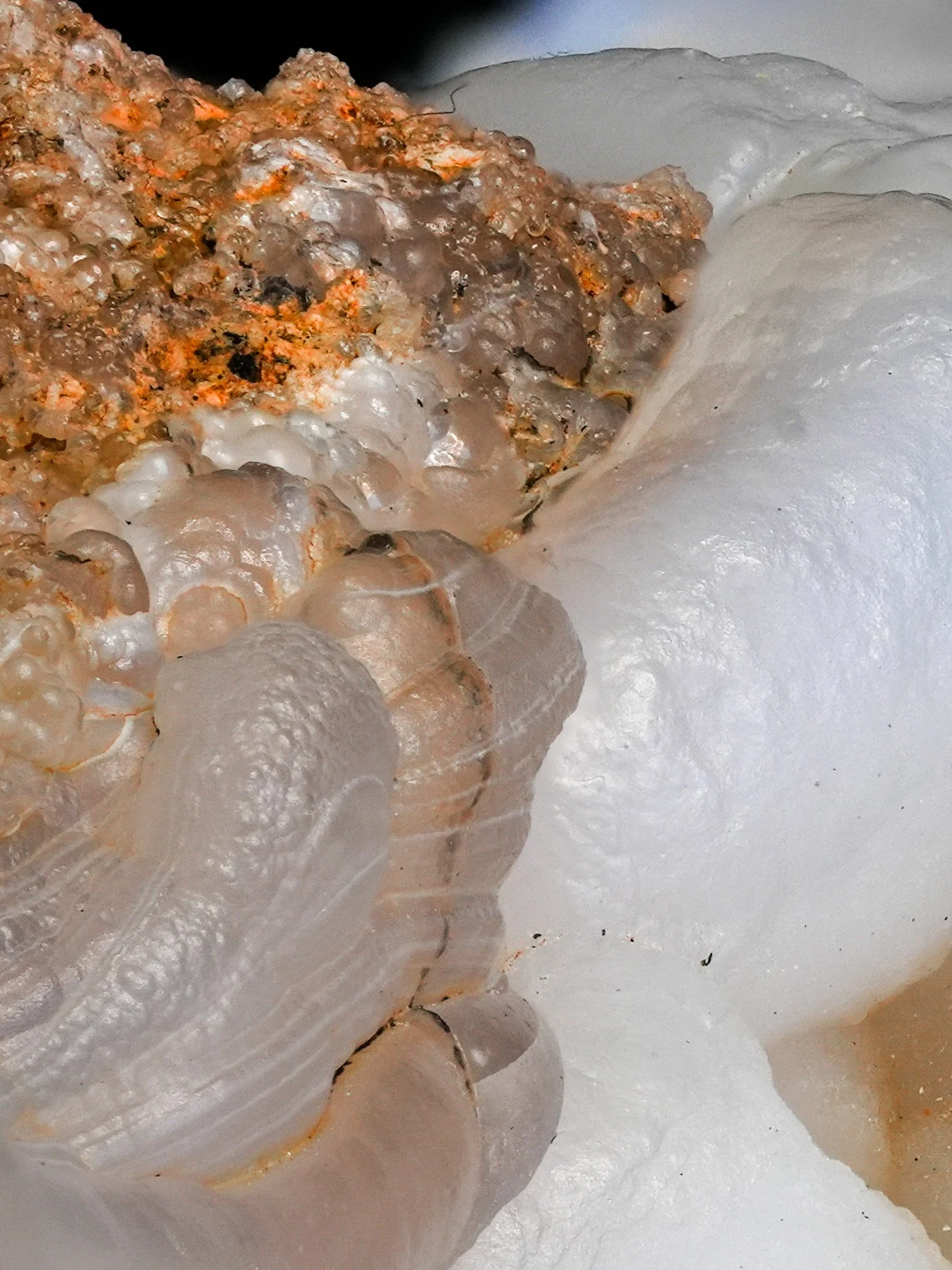 2026-02-12 13-48-01 (B,R8,S1) 2.jpg