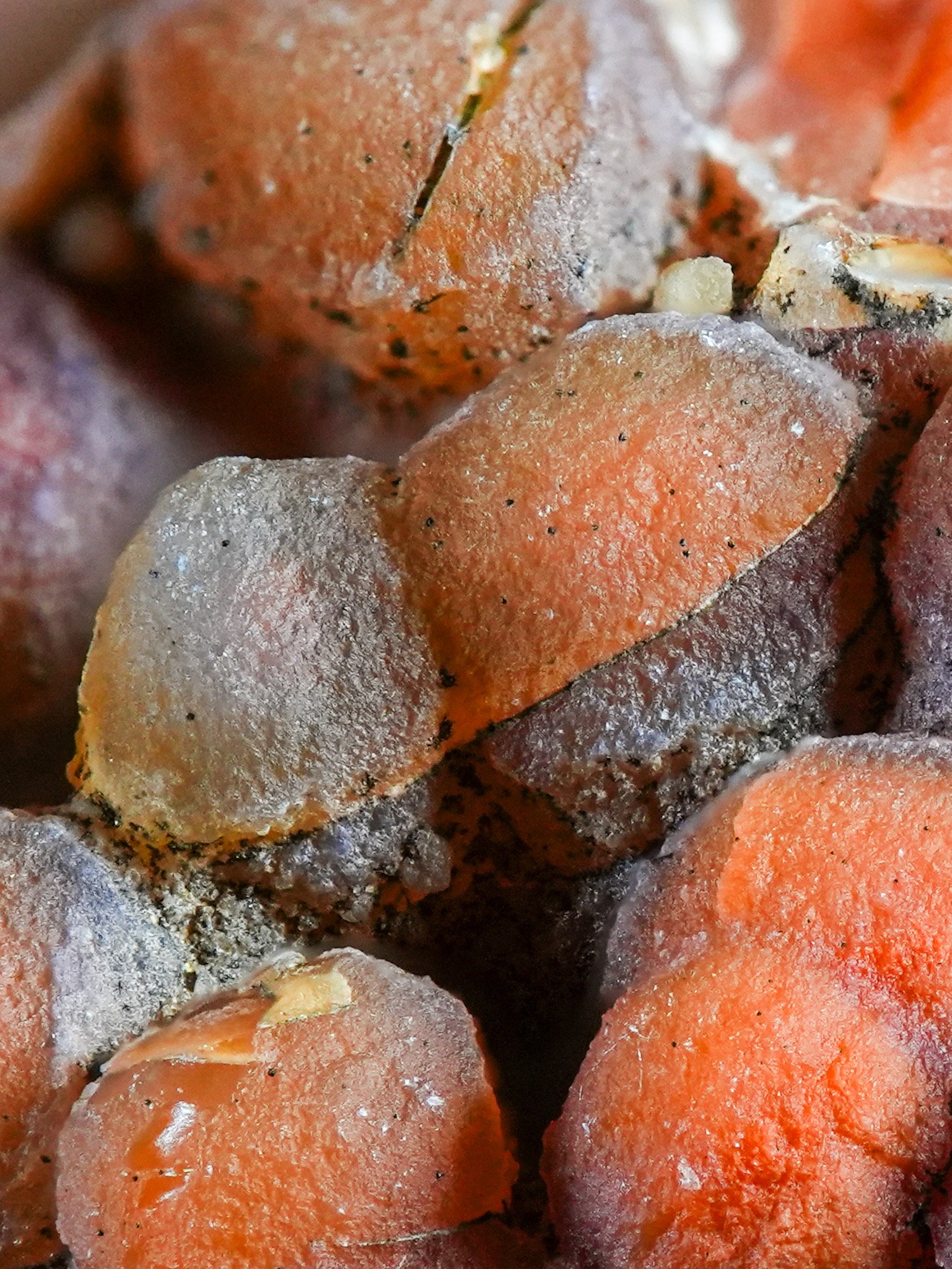 2026-02-19 12-10-56 (B,R8,S1).jpg