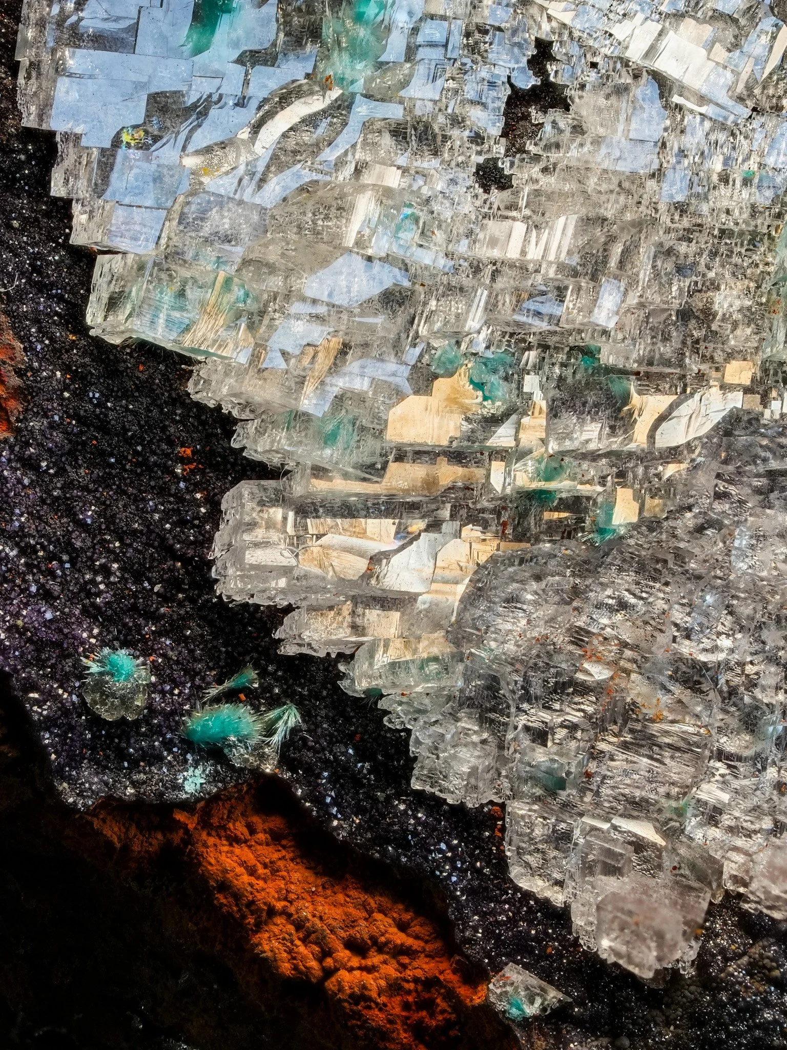 2026-04-09 16-12-48 (C,S1) 2.jpg