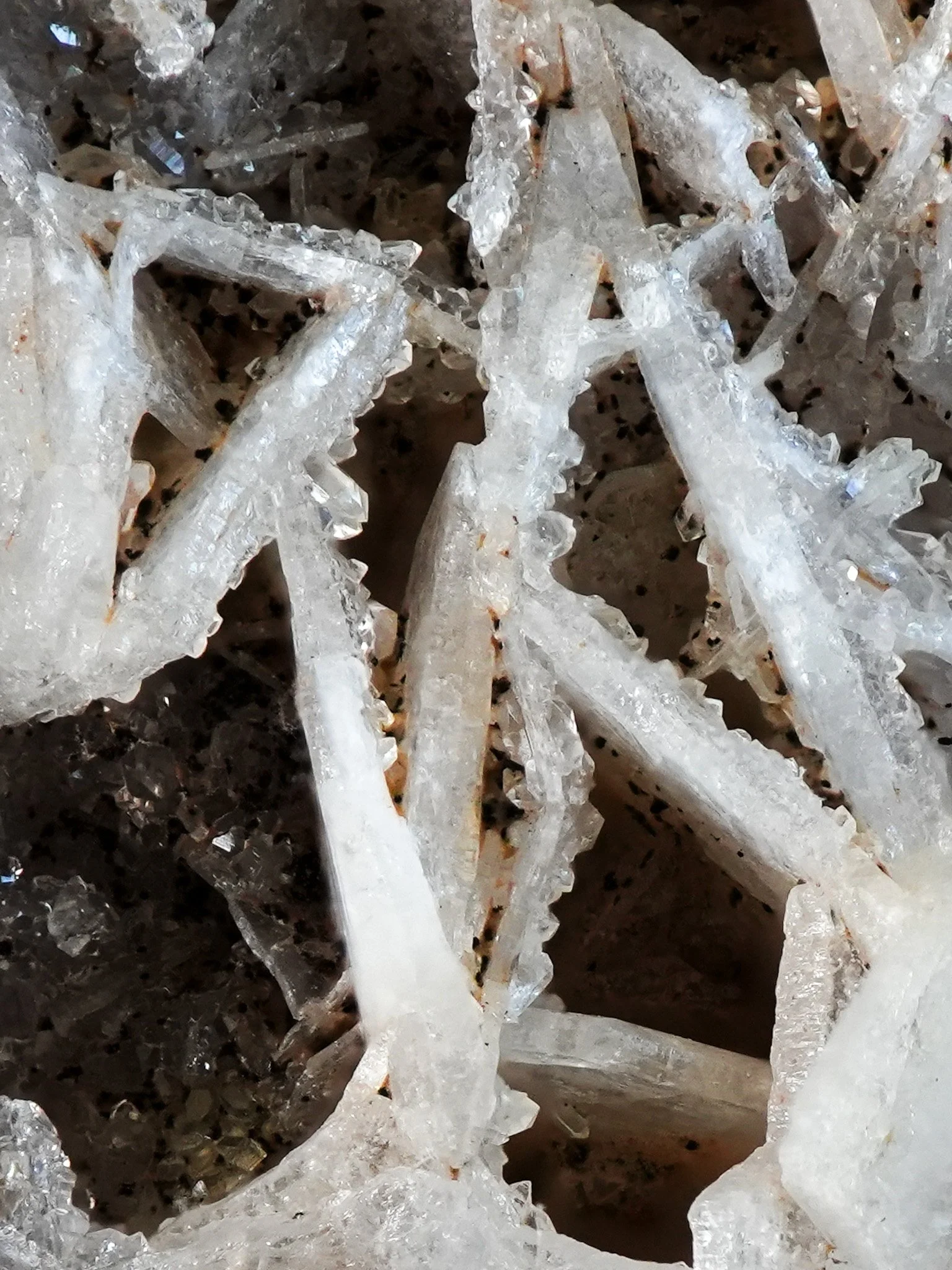 2026-01-20 14-55-56 (B,R8,S4).jpg