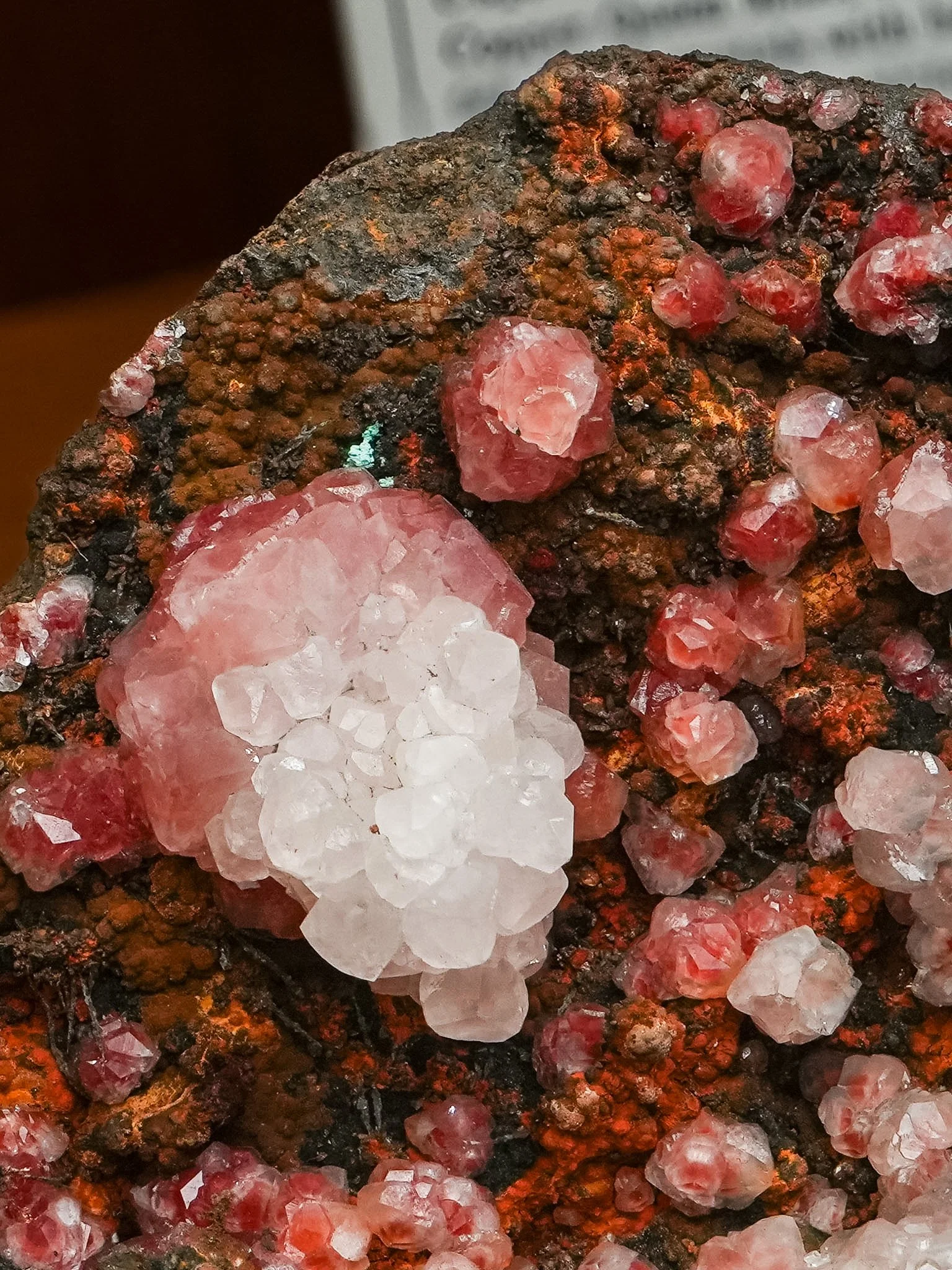 2026-03-05 15-26-52 (B,R8,S1).jpg